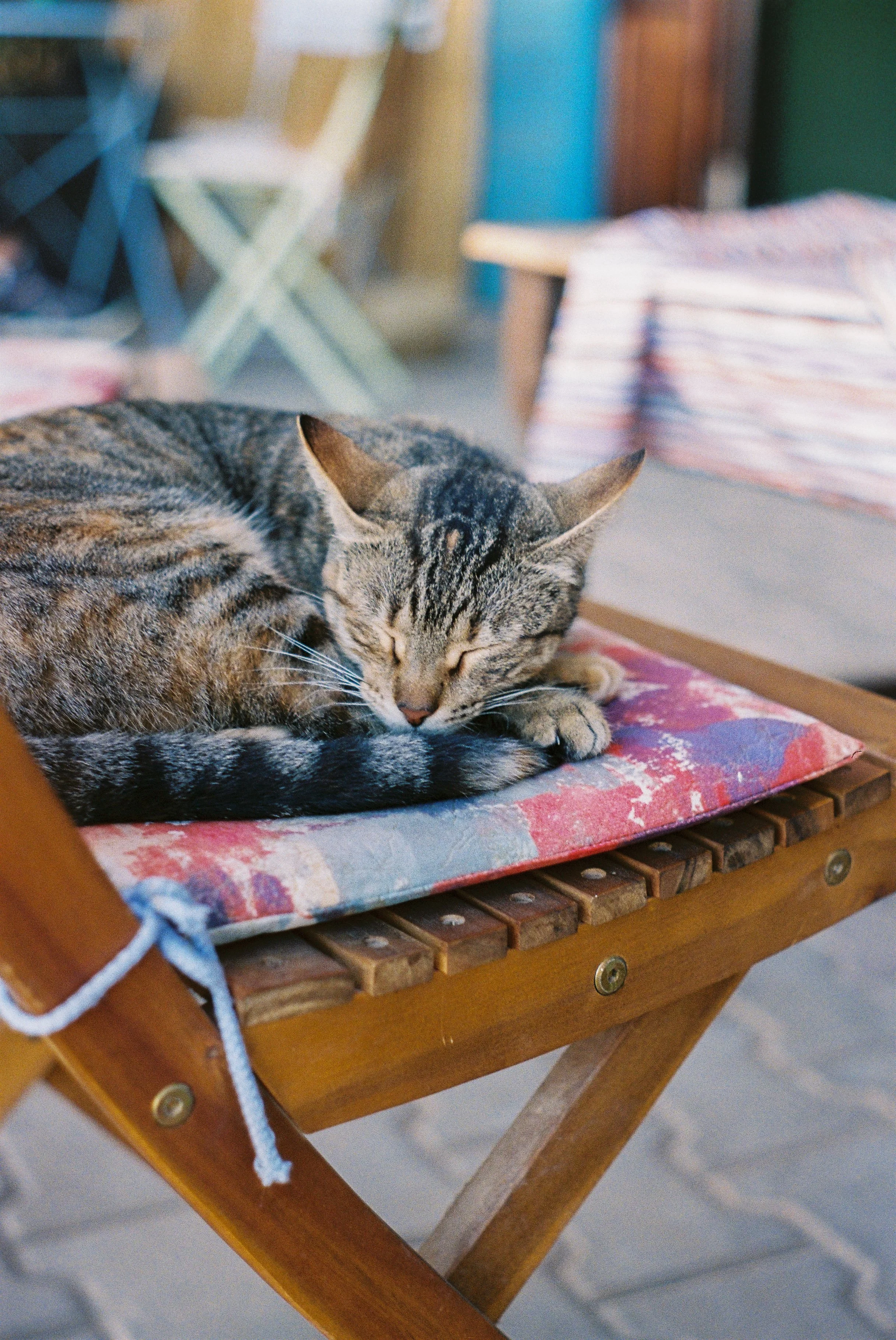 ©Chloe_Pradot_-8-4.jpg