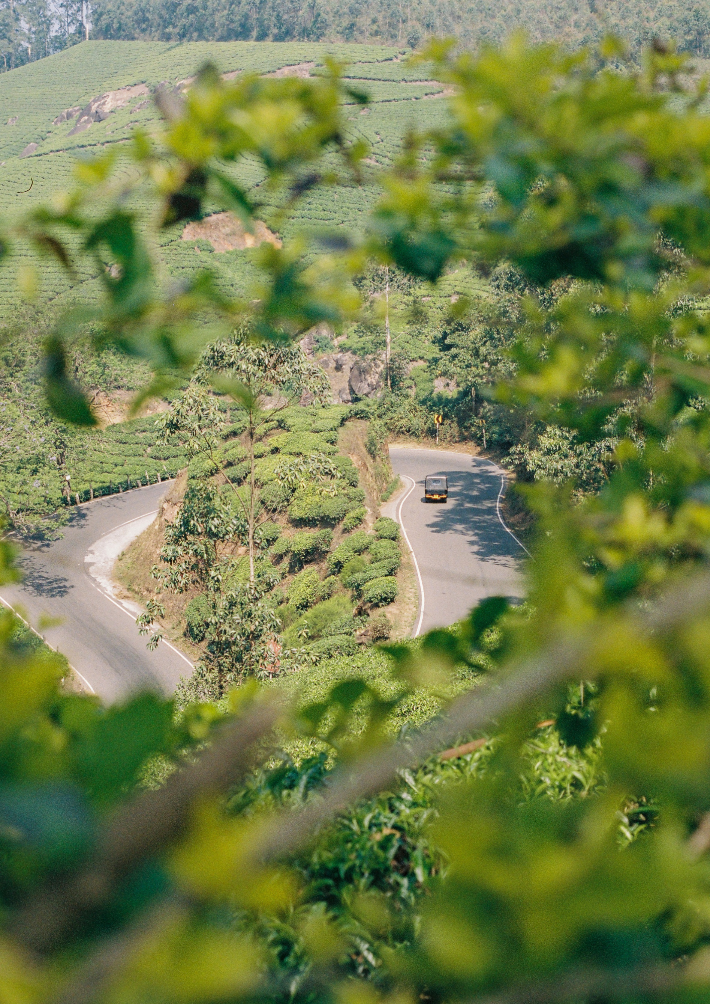 Montée vers Munnar.png