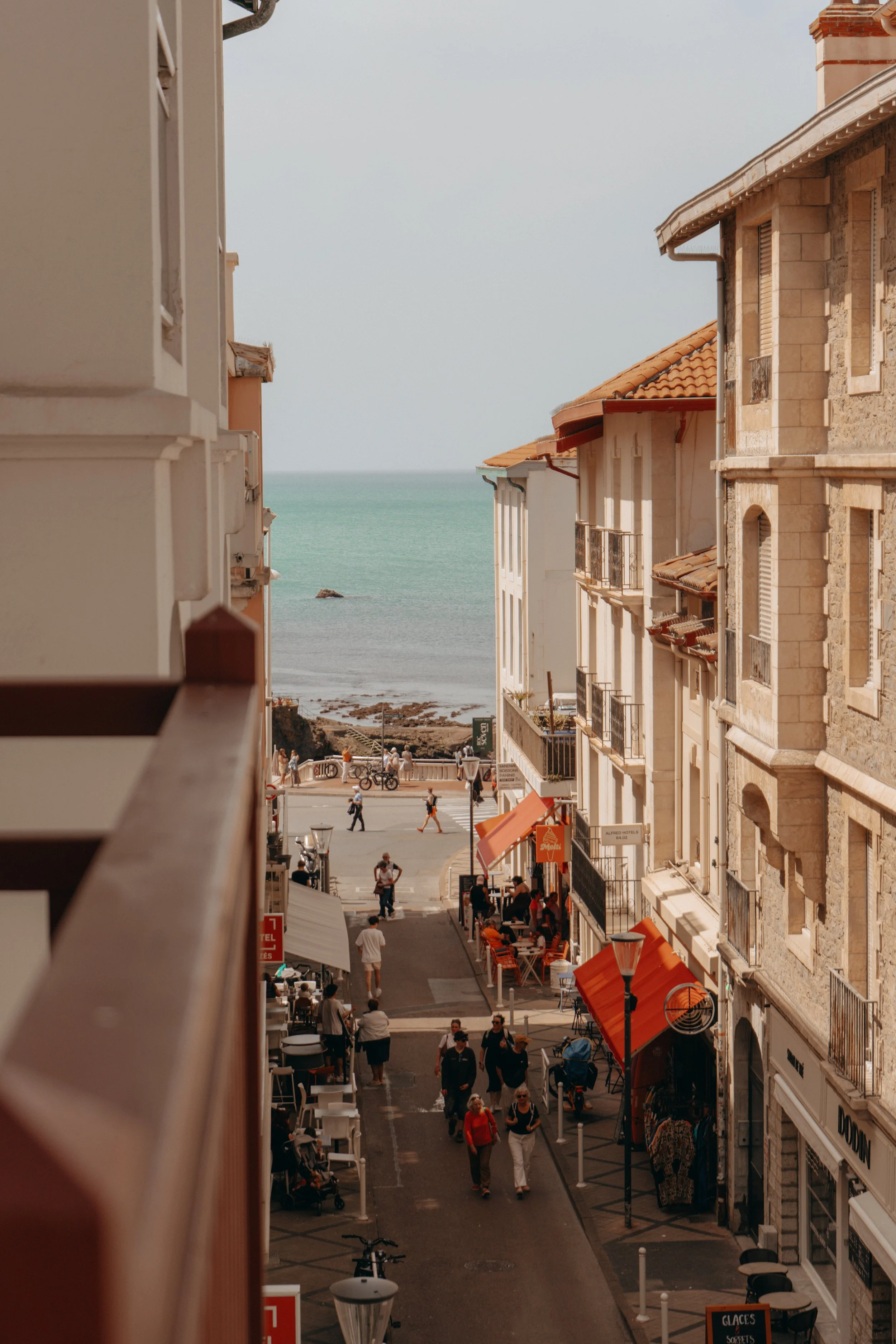 Palmito_©chloepradot_30.jpg