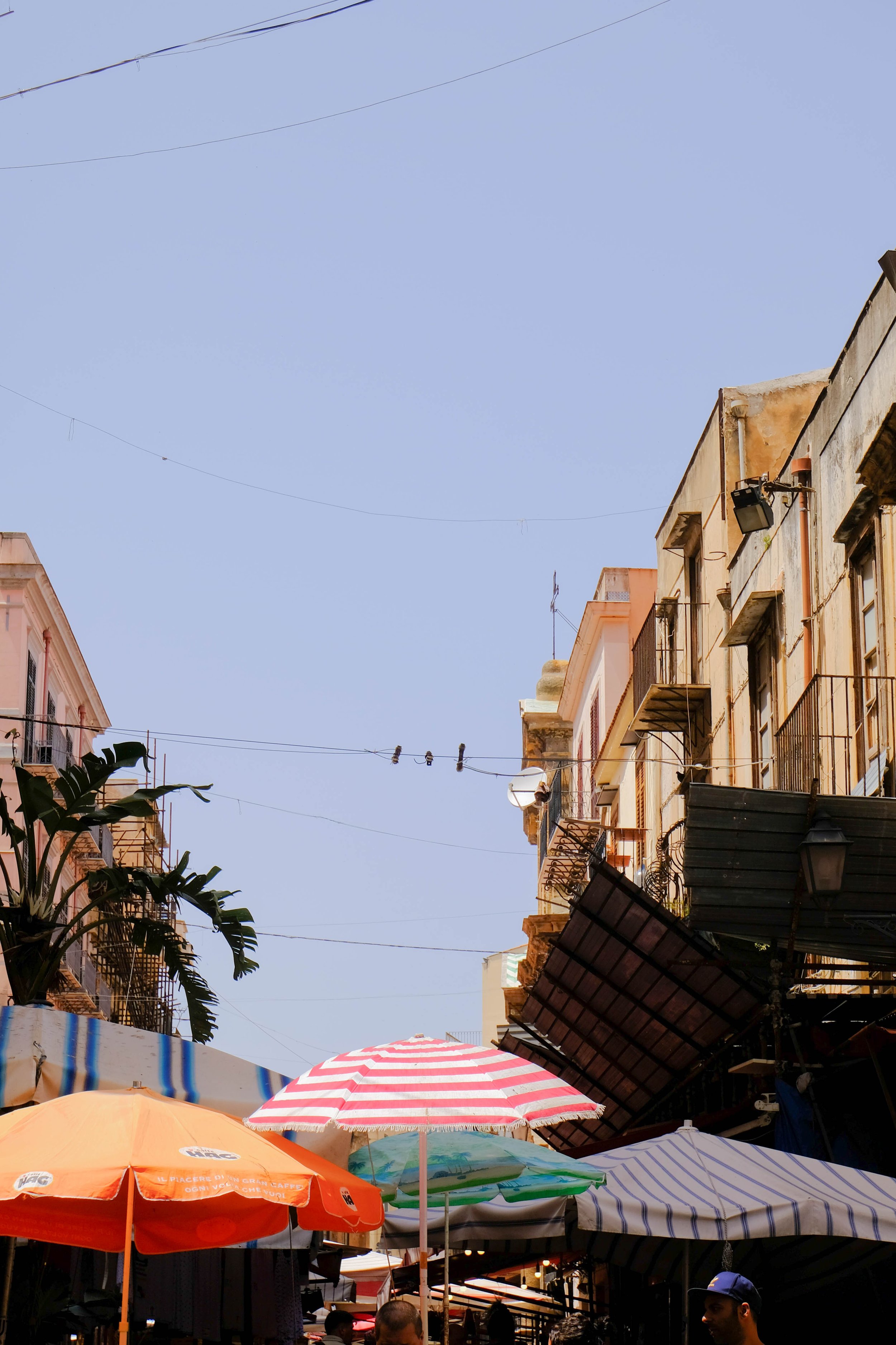 At a market in Palermo, Sicily.