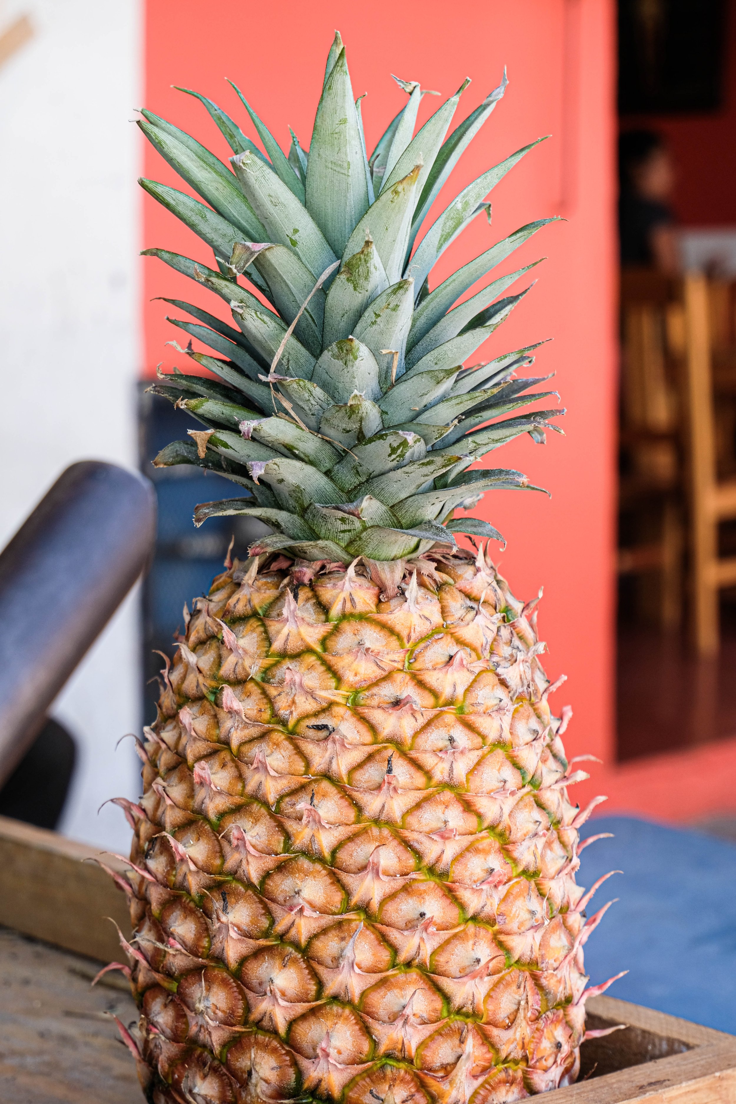 A pineapple in Oaxaca, Mexico