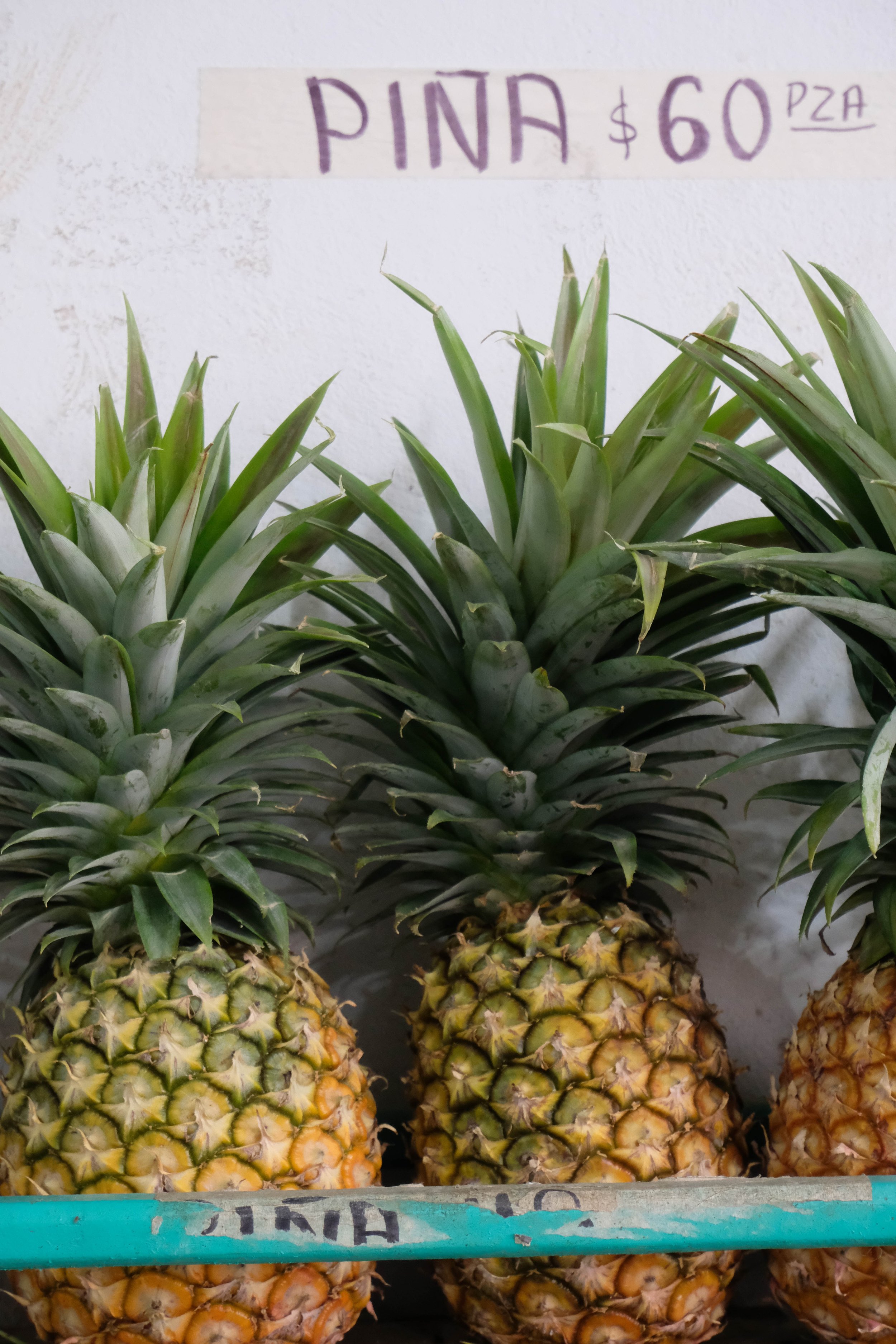 Pineapples in Mérida, Mexico