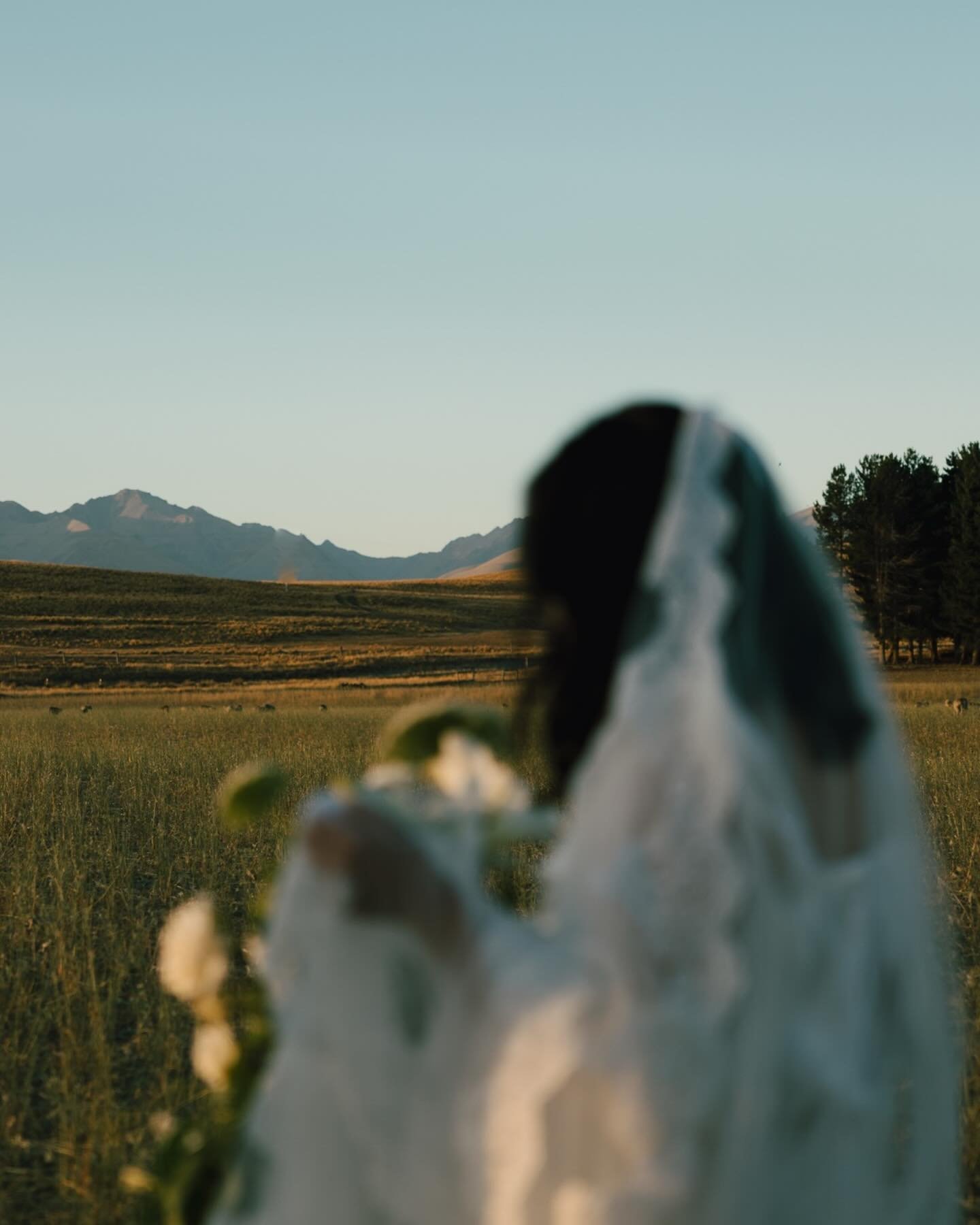 Meet me at the pastures with rolling hills
the smell of dirt kicked in the air by sheep 
your love story wrapped in silk

No travel fee for {most} locations across the US. Inquire via my website and I&rsquo;ll see you soon 🫶🏼

#weddingphotography #