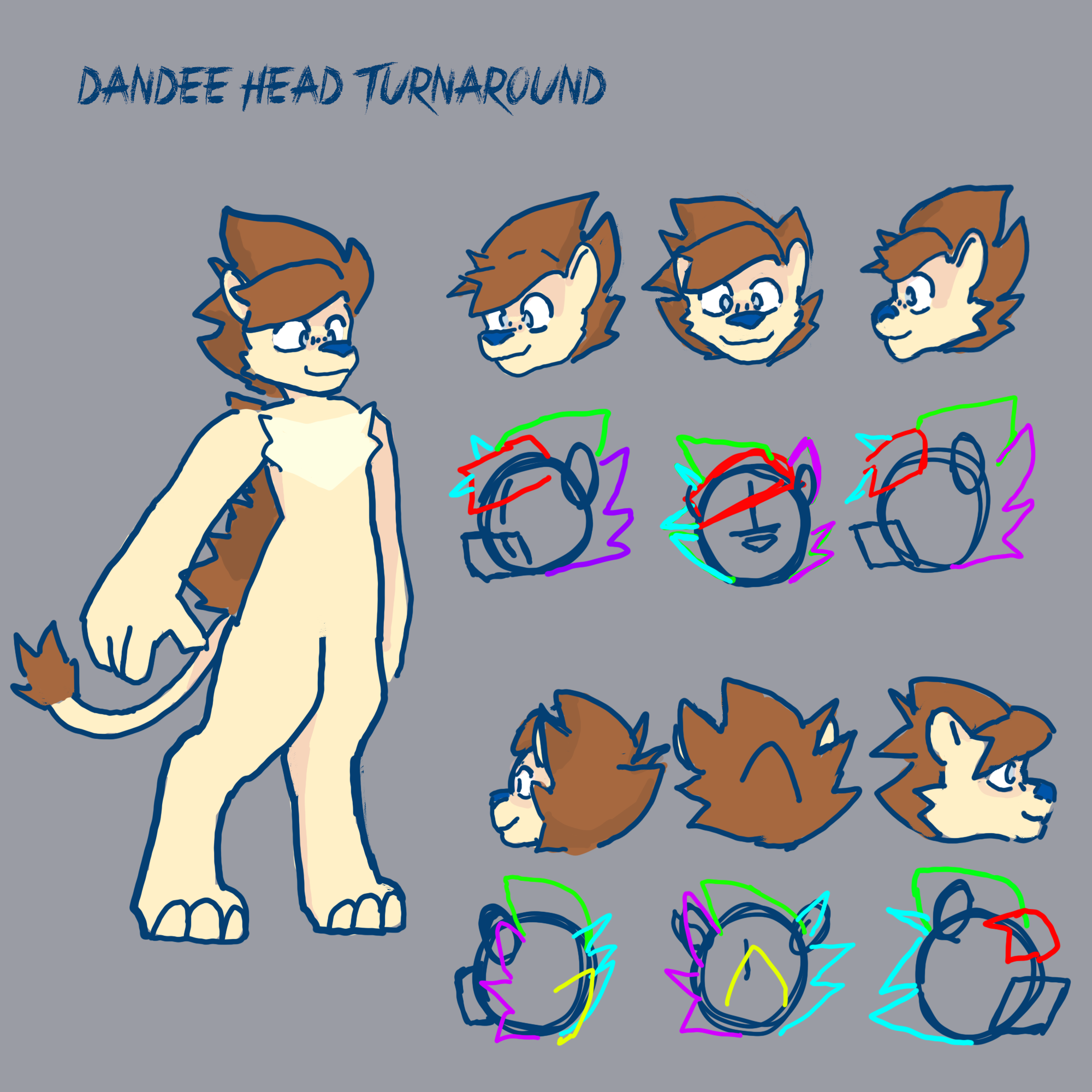 Dandee Head Turnaround