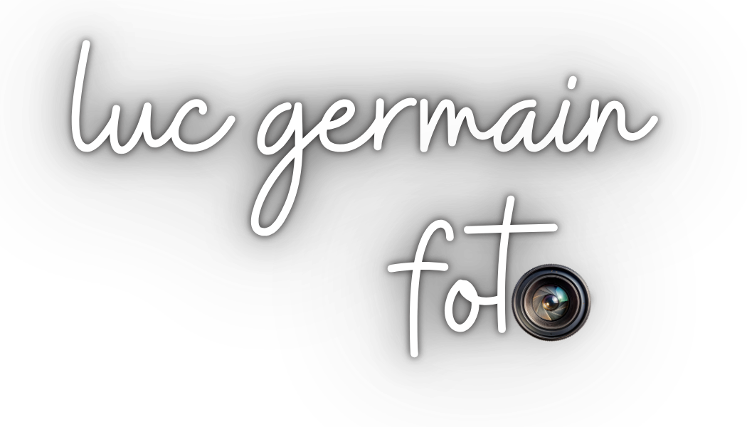 LucGermain 