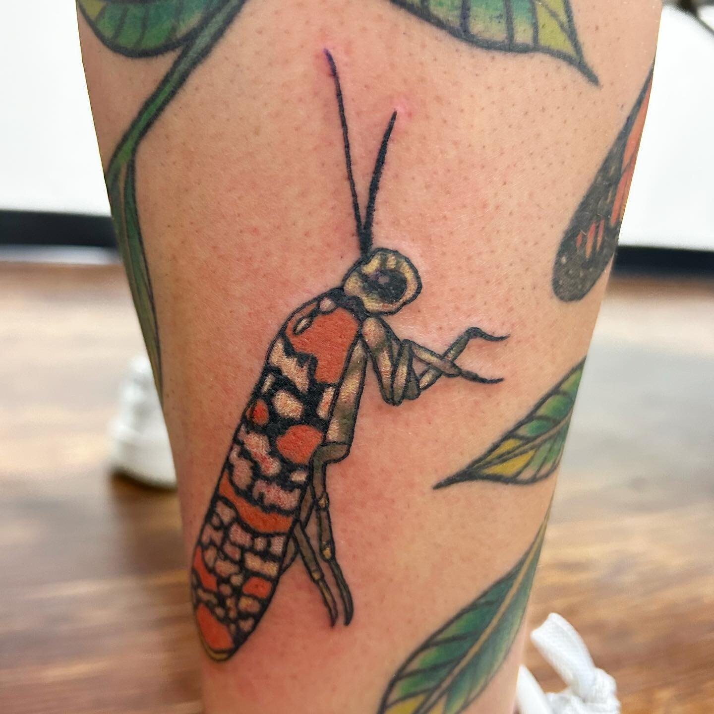 Some more cool bugs for @ern.in.de.sand 🫶🏻 thanks again for the best convos and never forget that pickles don&rsquo;t belong on hot sammiches. .
.
.
#girlswhotattoo #ladytattooers #njtattooartist #njtattooshop #atlanticcounty #skinarttraditional #t