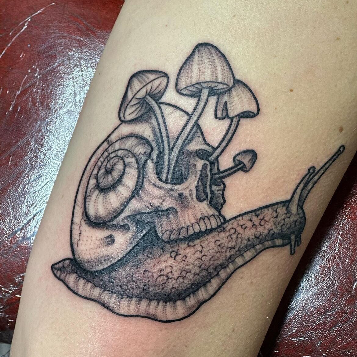 Skull snail by @carlyweasill