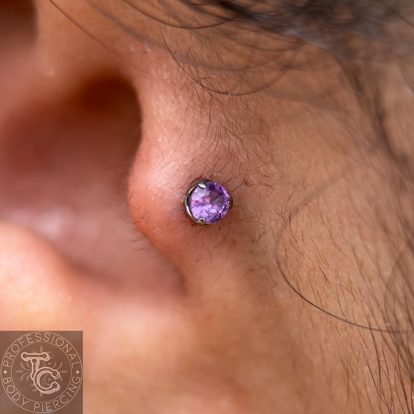 Fresh tragus piercing from today 💜

✨ 16g 11/32&rdquo; implant grade titanium labret post and 3mm amethyst CZ prong end from @junipurrjewelry 
✨ Pierced with @stilettopiercingsupplies and my trusty &ldquo;felix&rdquo; tool from @aesthetic_ambition_s