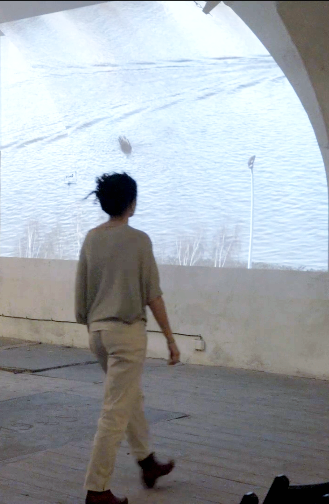 Crossings_03.png