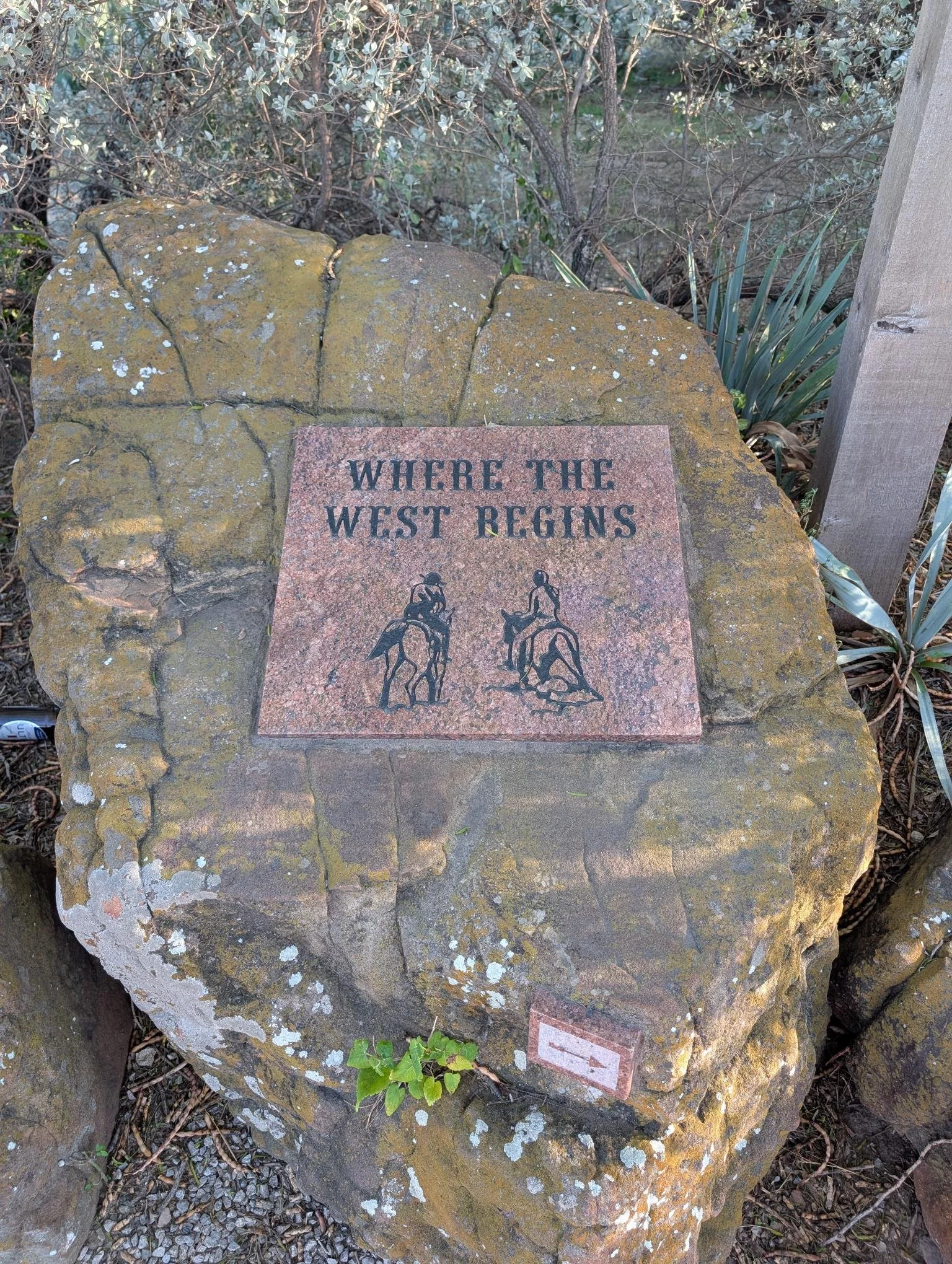 shared image (1).jpg