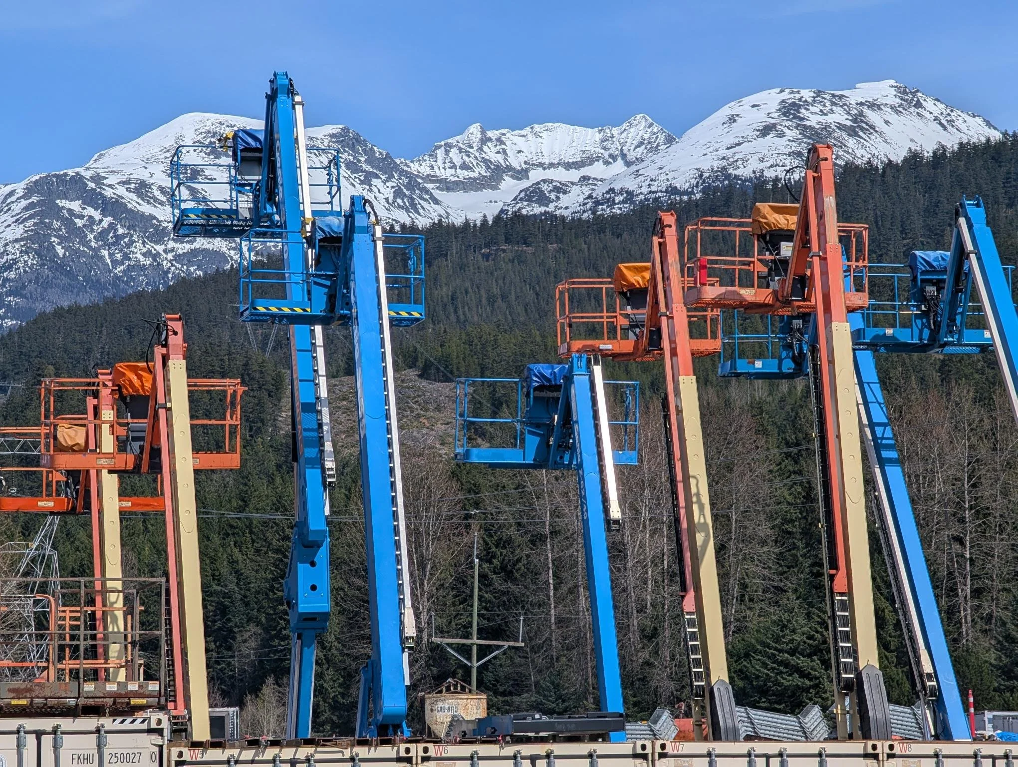 shared image (4).jpeg