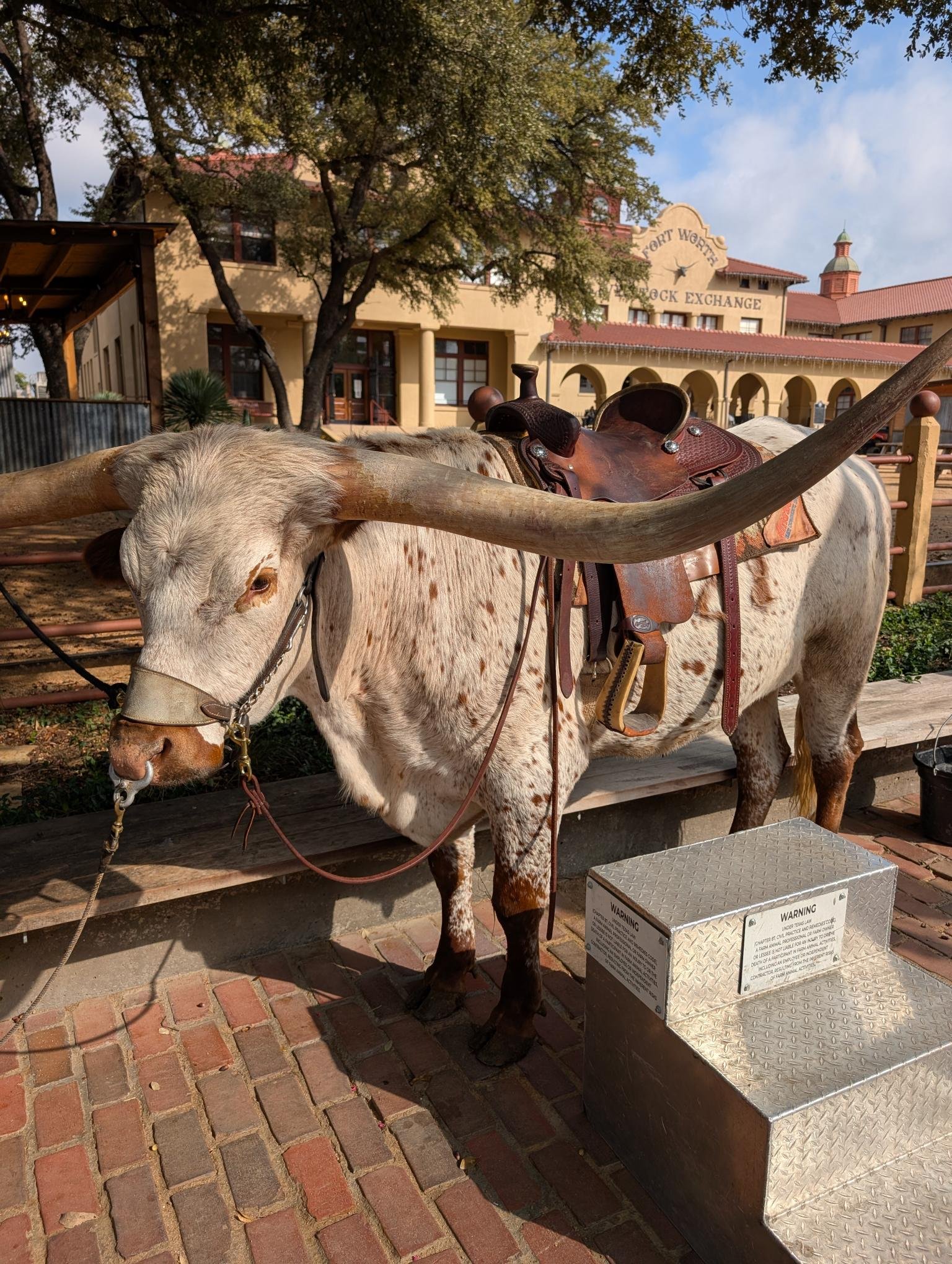 shared image (2).jpg