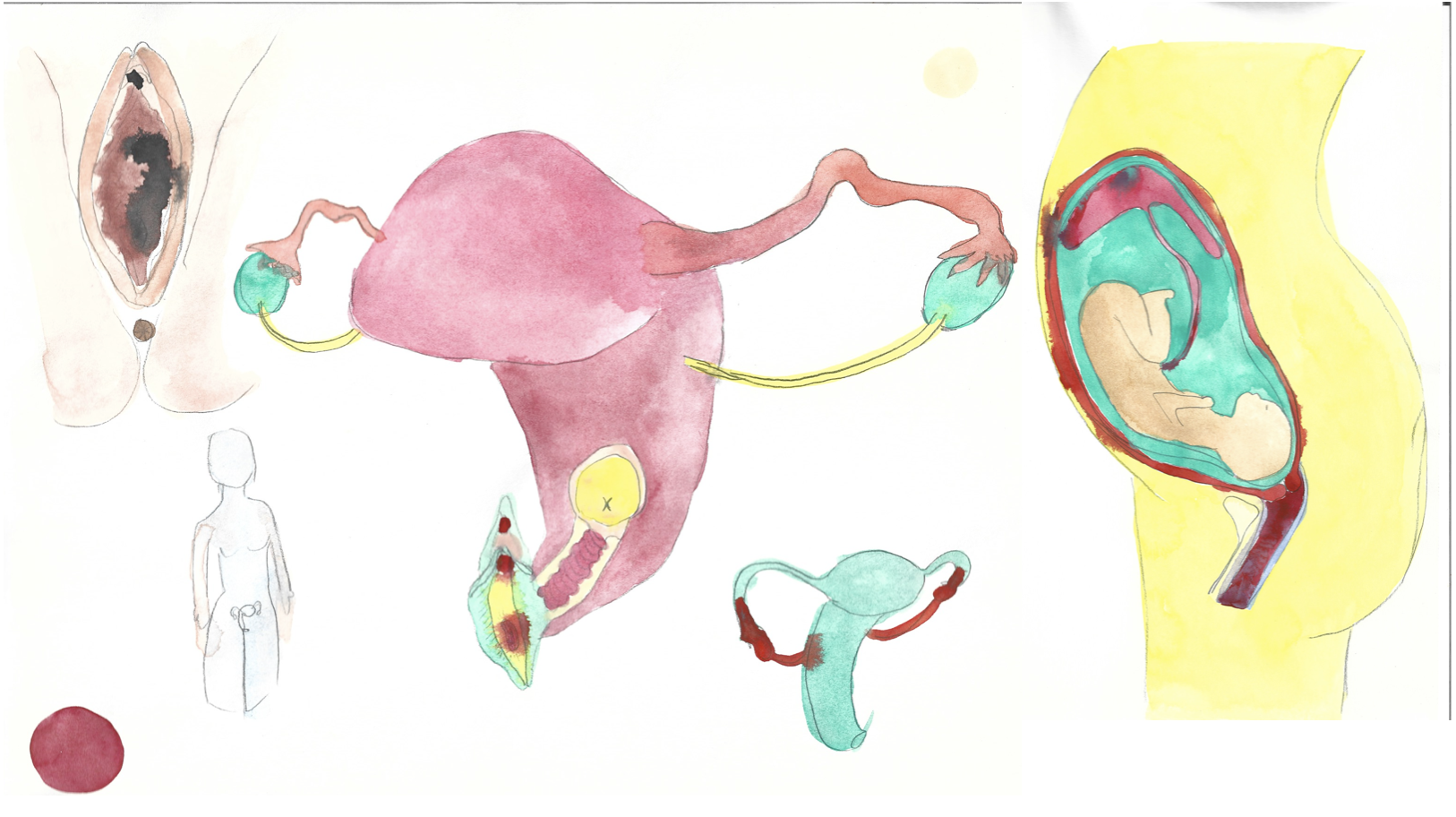 Screen Shot 2026-01-30 at 4.30.28 PM.png