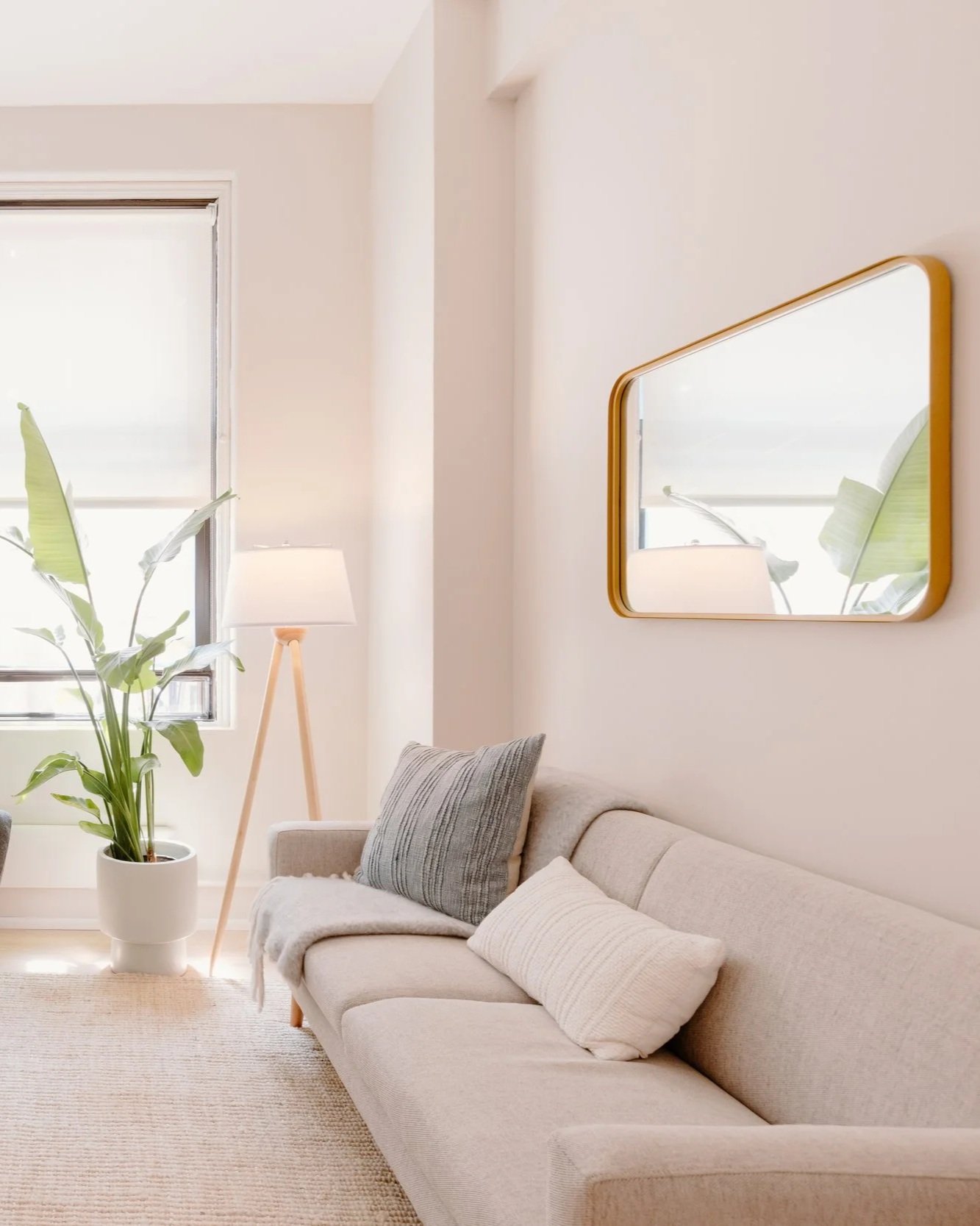 Warm, well-lit office with a gray sofa, a gray throw blanket, a tan rug, a rectangular mirror on a wall, and a window reflected in the mirror.