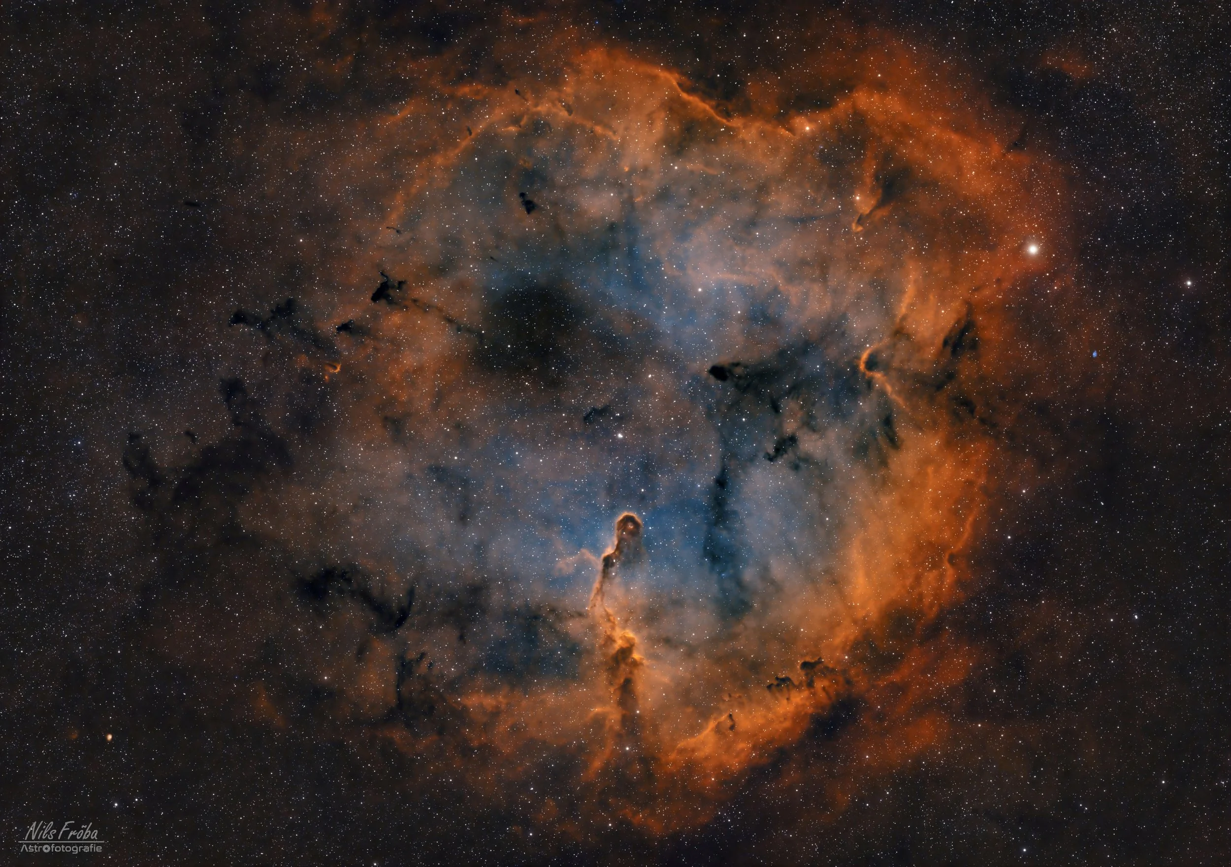IC1396_SHO_Final_Web.jpg