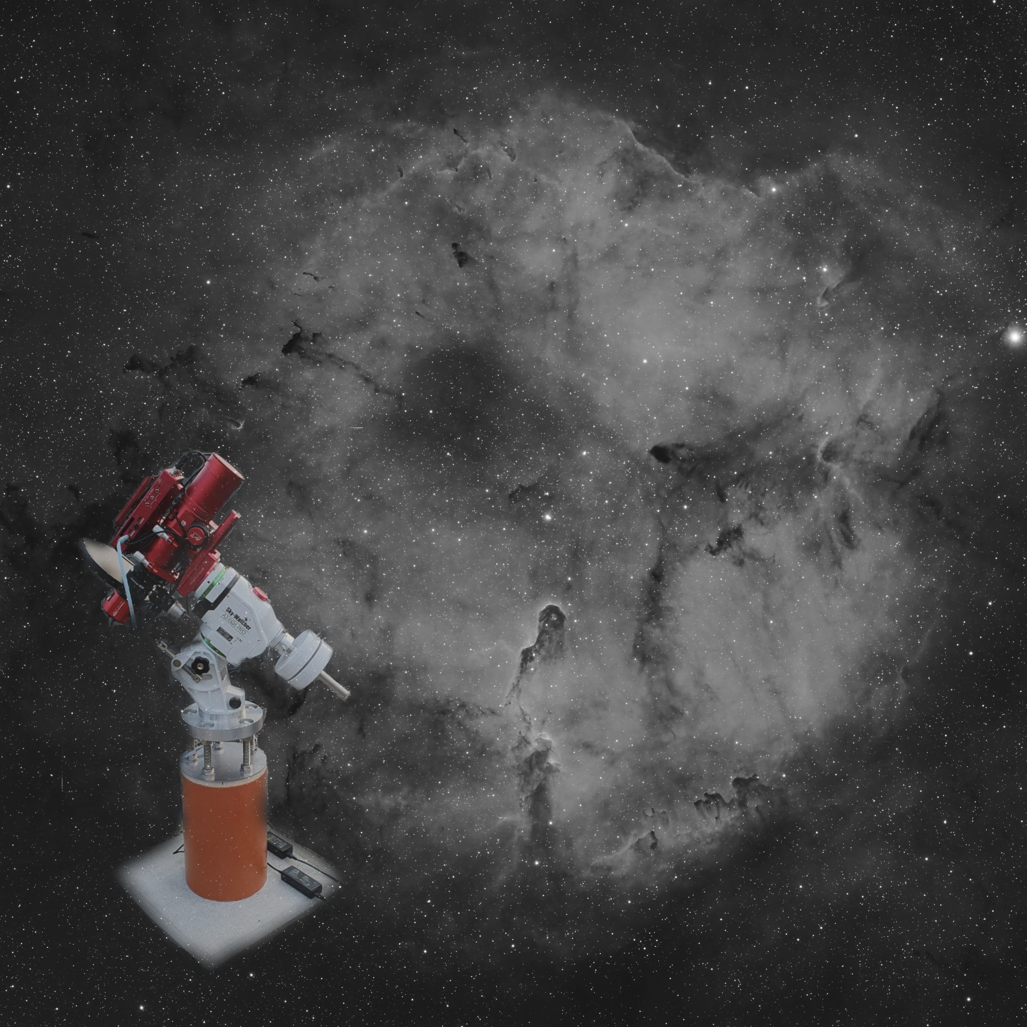 First Light Red  Cat 61.png