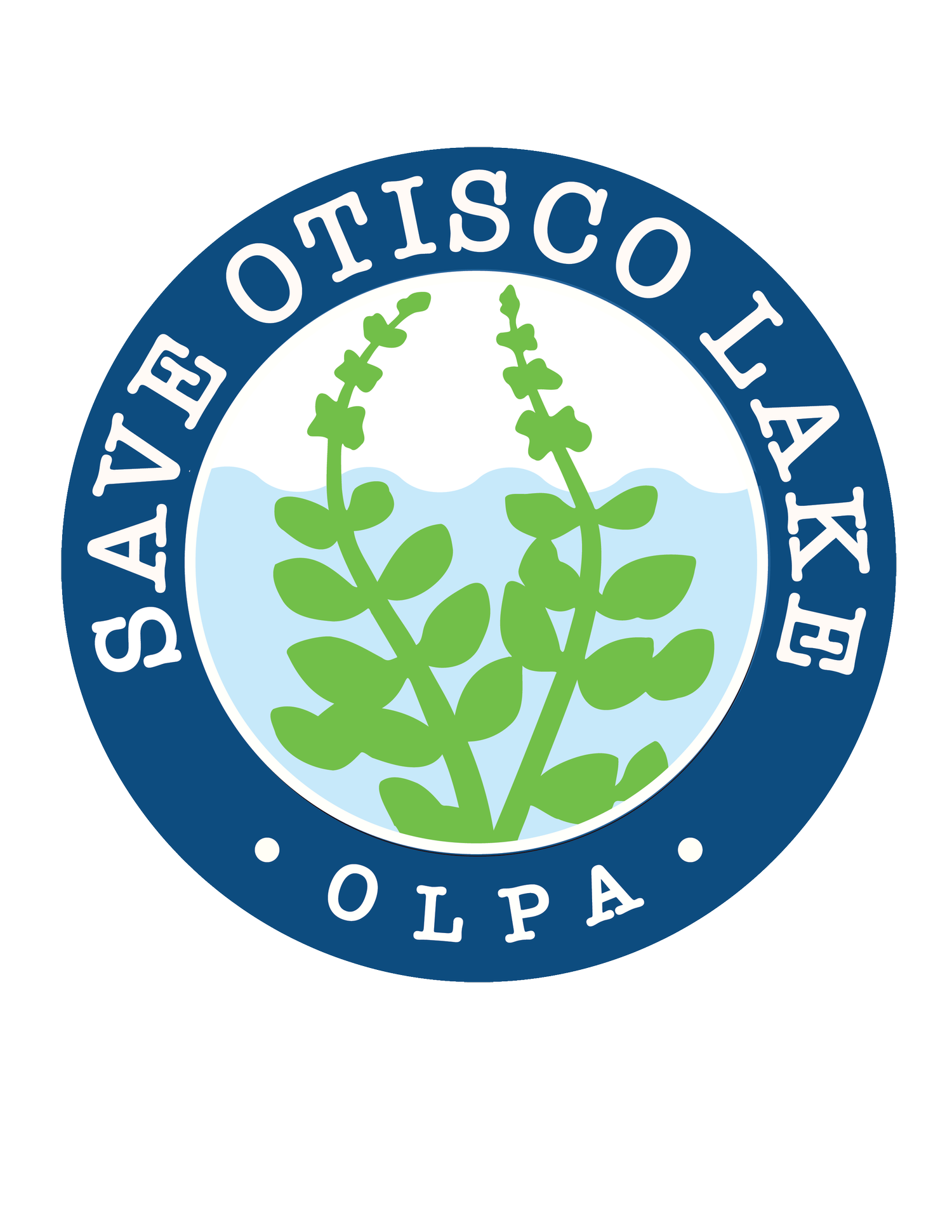 Save Otisco Lake