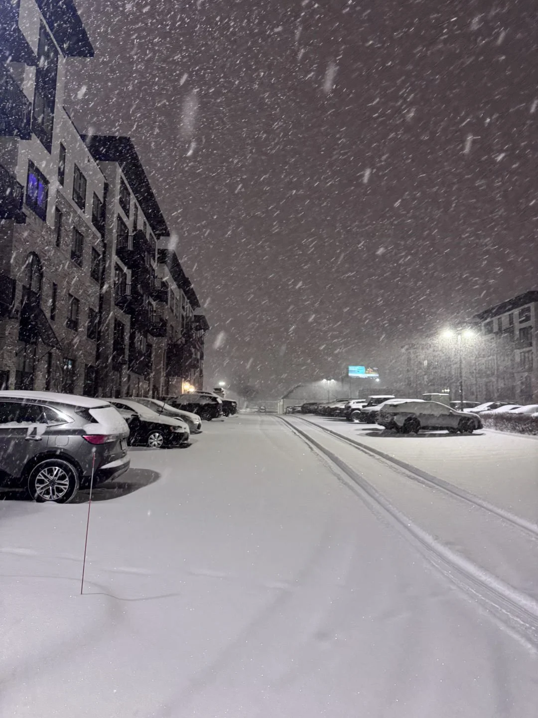 Some pretty pictures from the recent snow! ❄️☺️