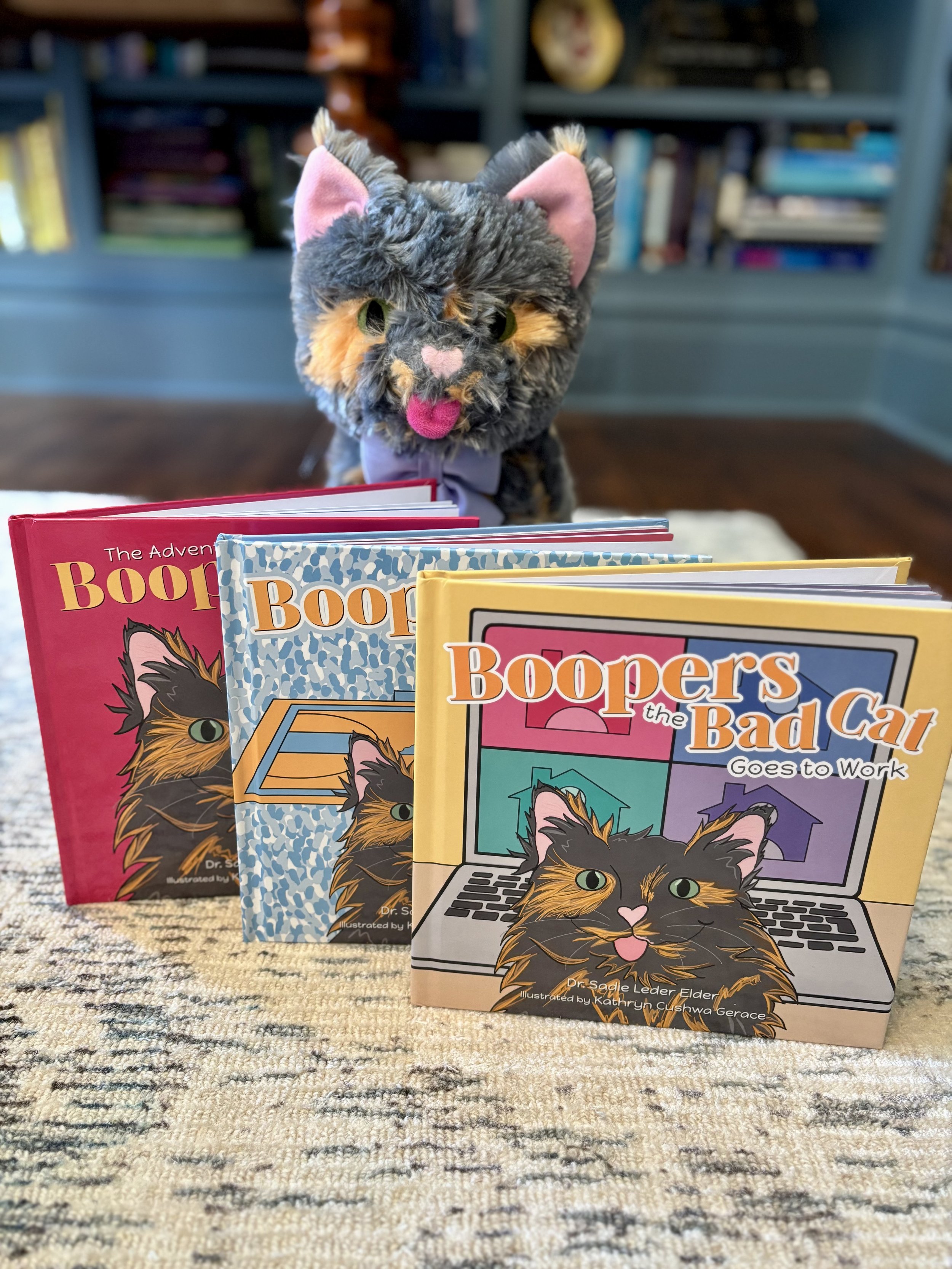 Boopers the Bad Cat (3-book full series set)
