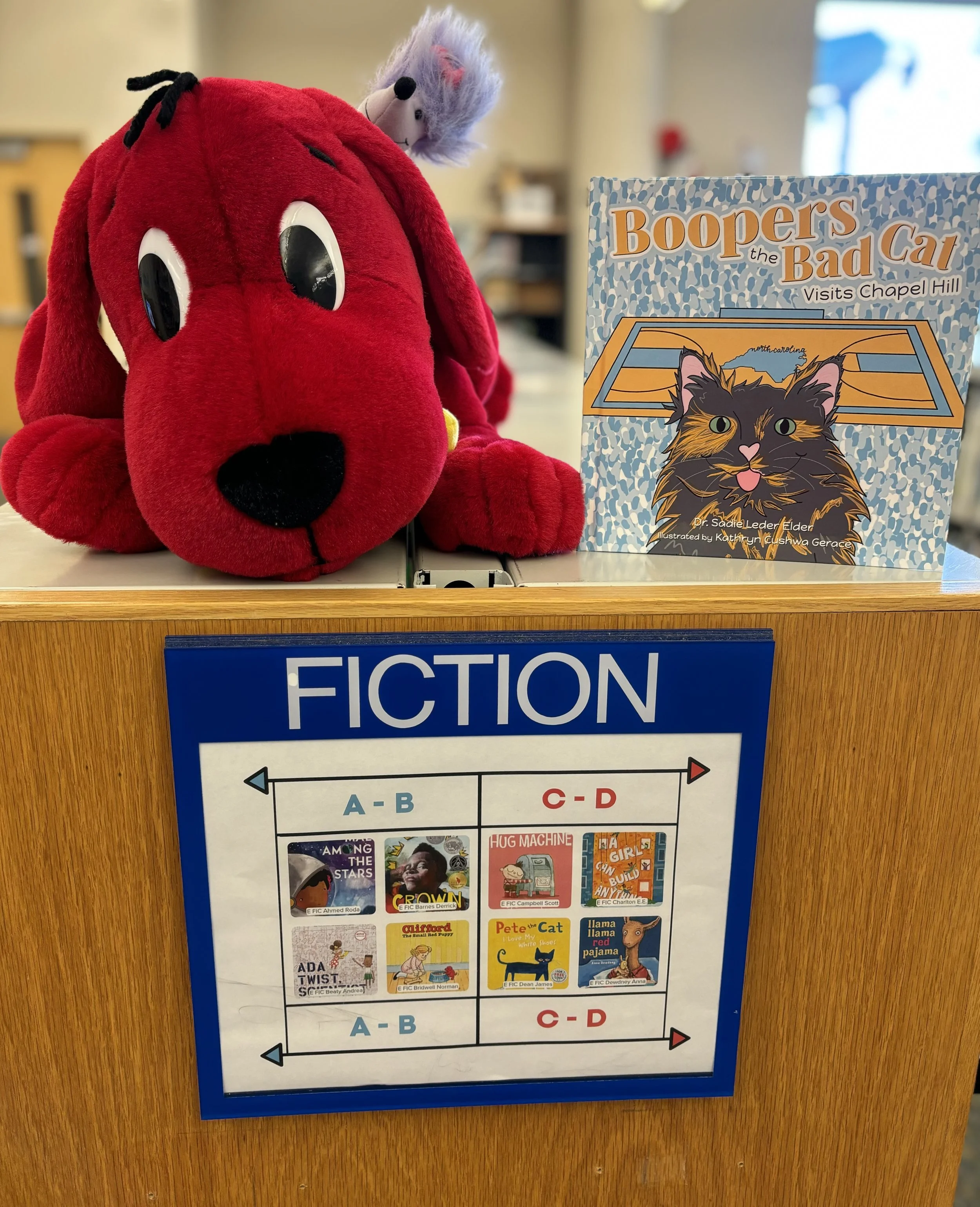 Boopers 2 Library 2.jpg