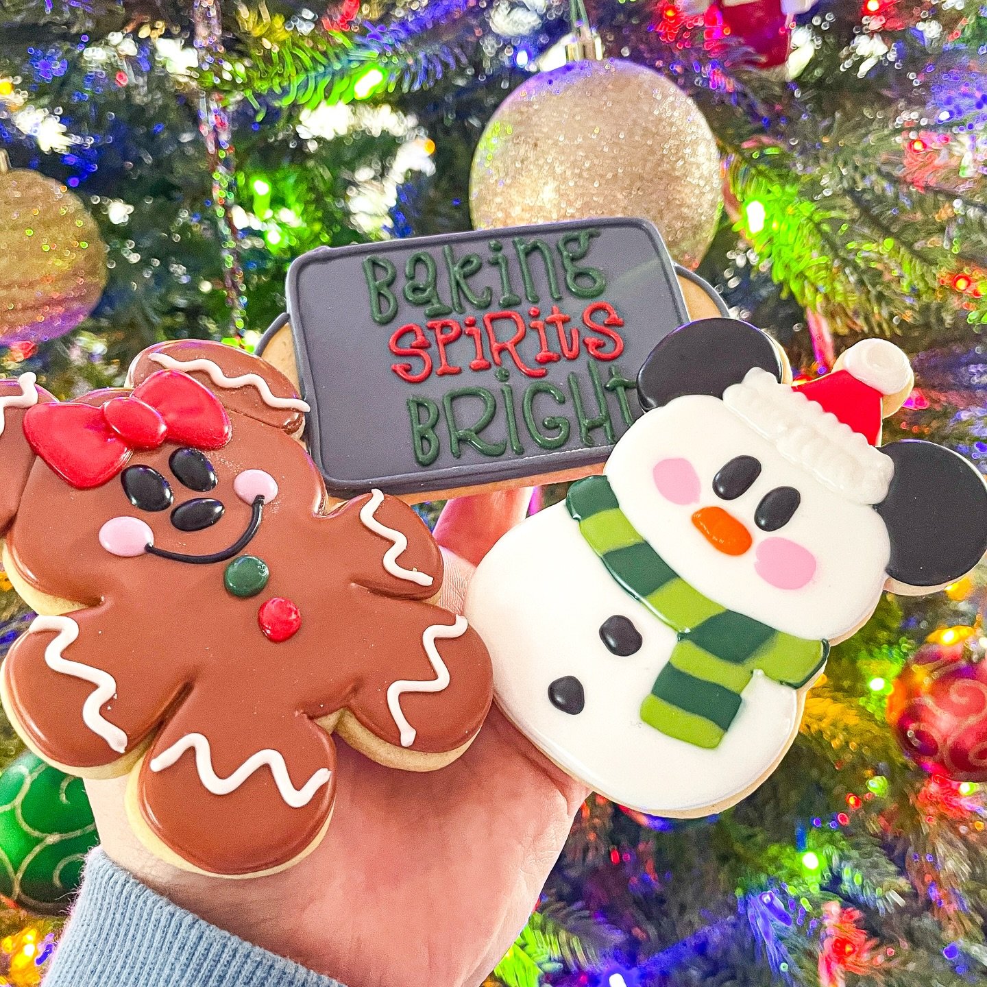 Merry Christmas to one and all! 🎄🎅🏼🍪 My favorite cookie season has come to a close and it would not have been possible without all of my fabulous cookie customers! Each year just tops the previous! Make sure you share a cookie with your loved one