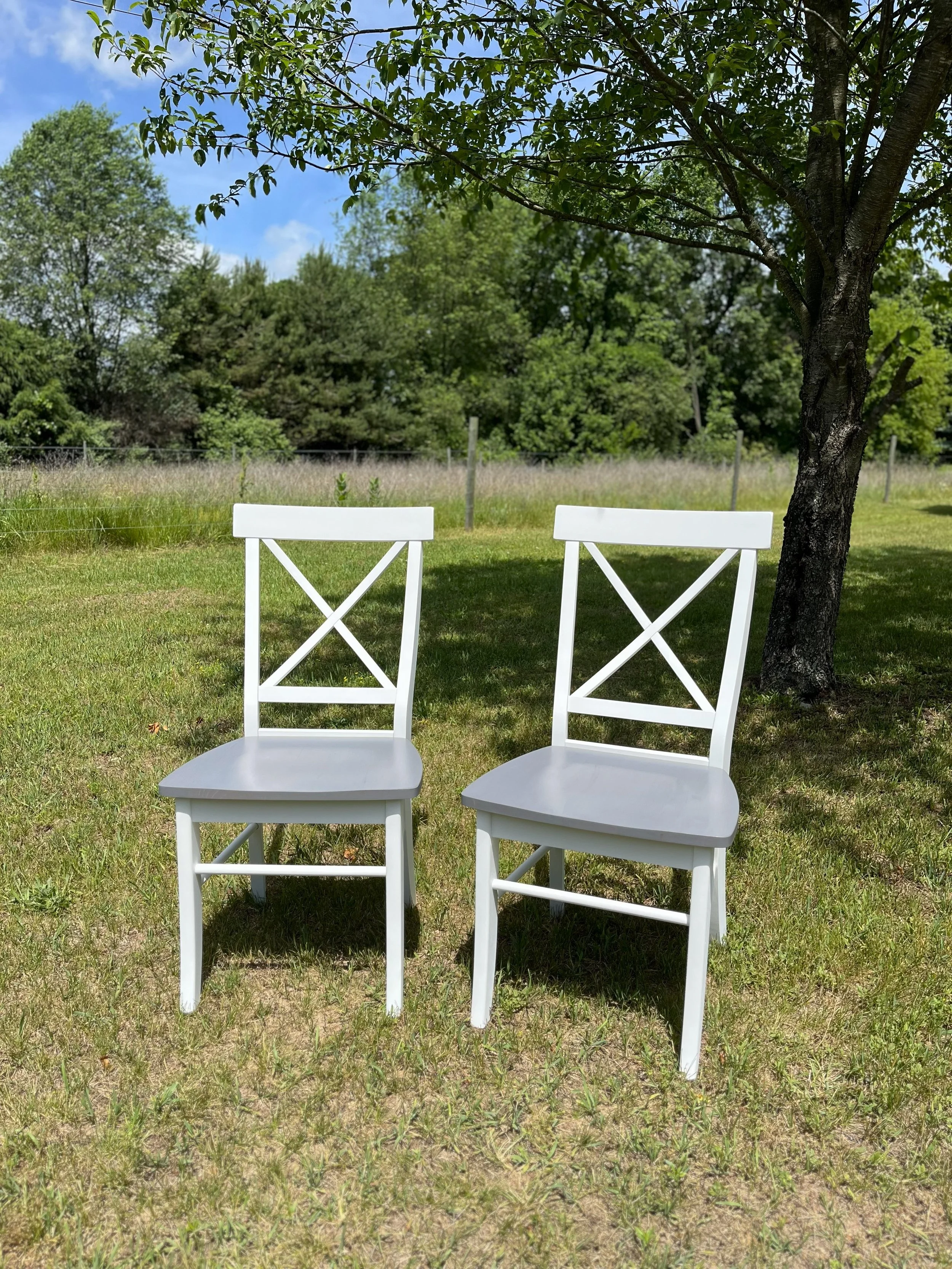 Ford Dining Chair - White/Ash Gray