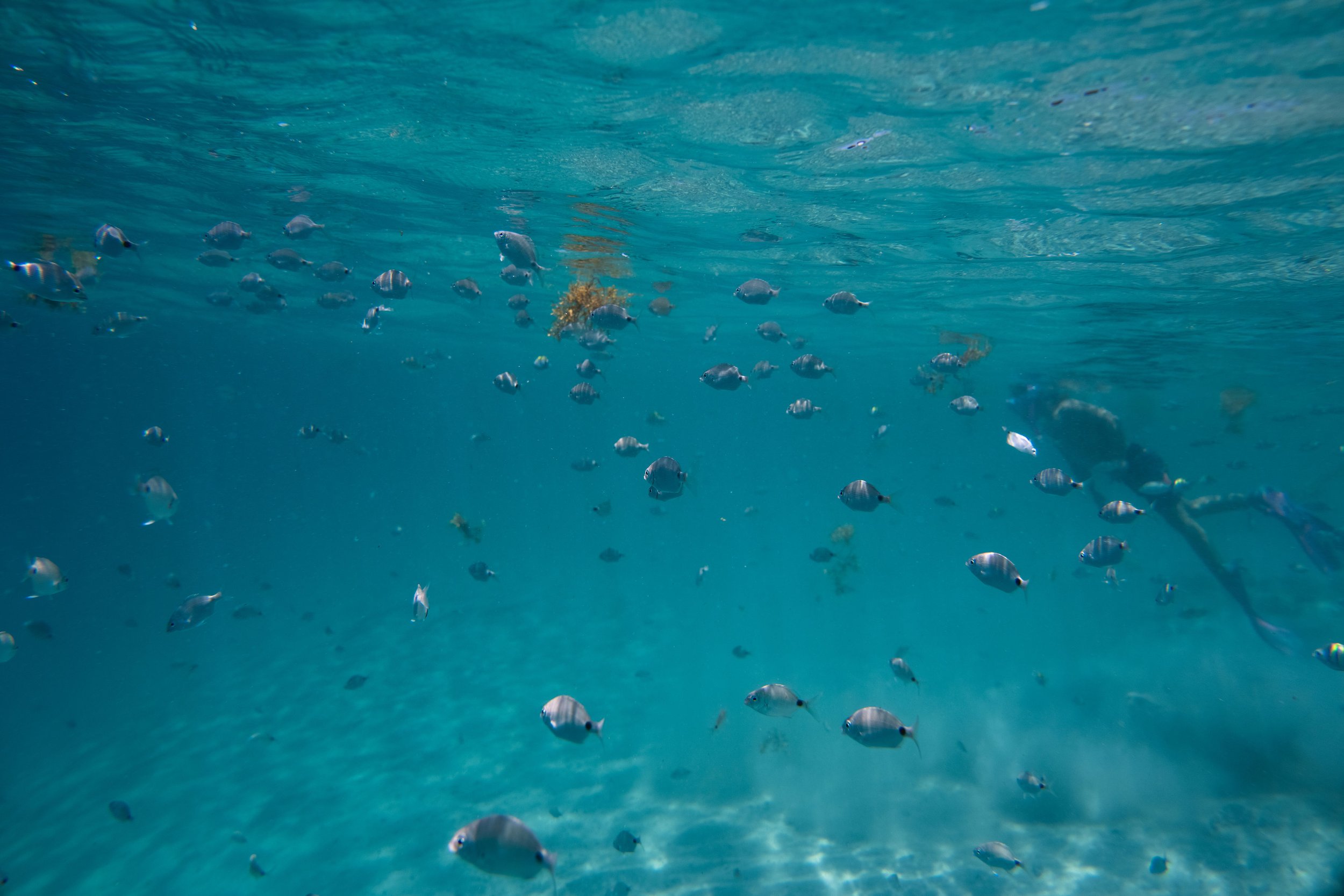 🎣 Fishing Friday in Jupiter, FL: Your Weekend Starts at Jupiter Pointe Boat Club