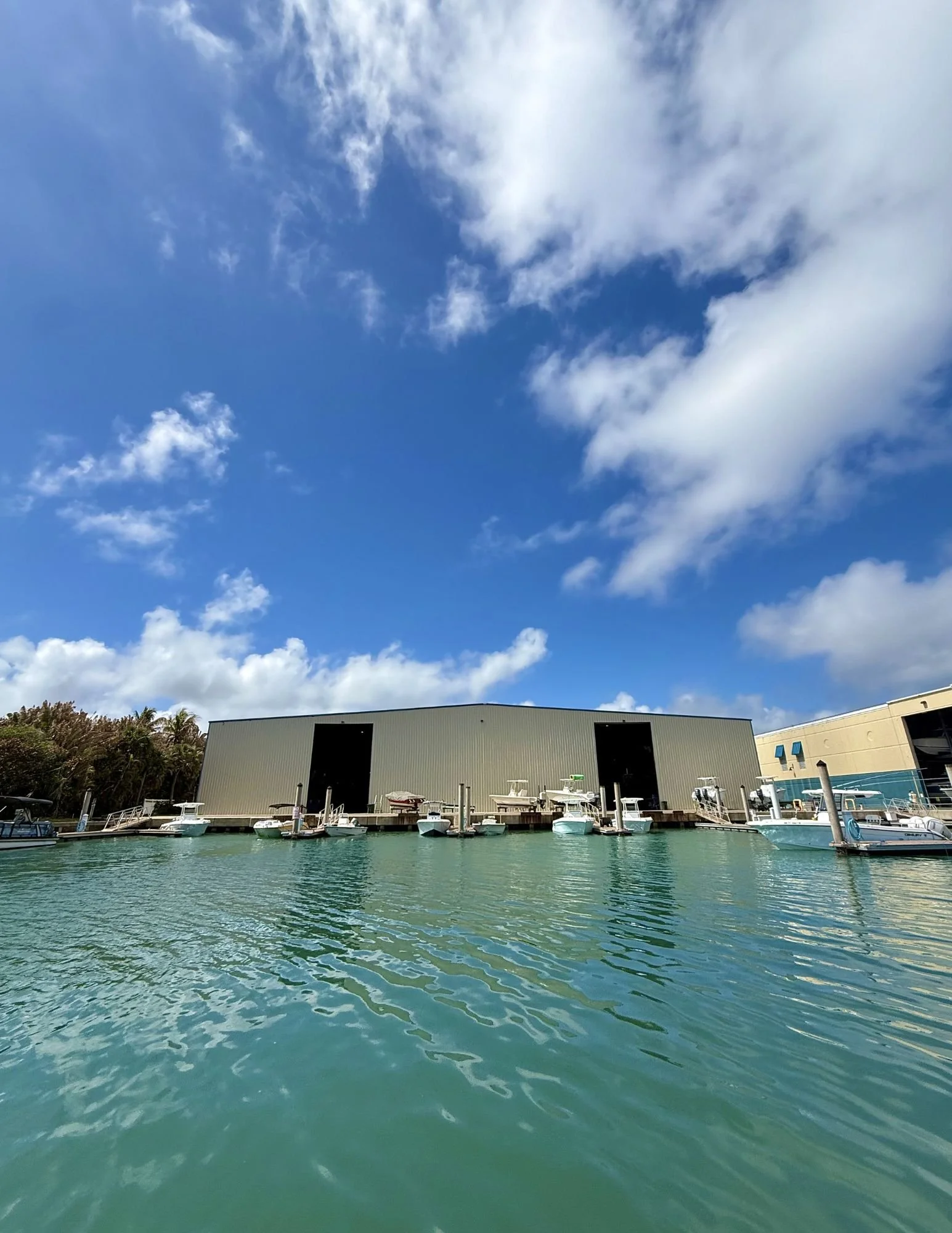 🎣 Fishing Friday Report – Jupiter, FL | Weekend Outlook 🌊