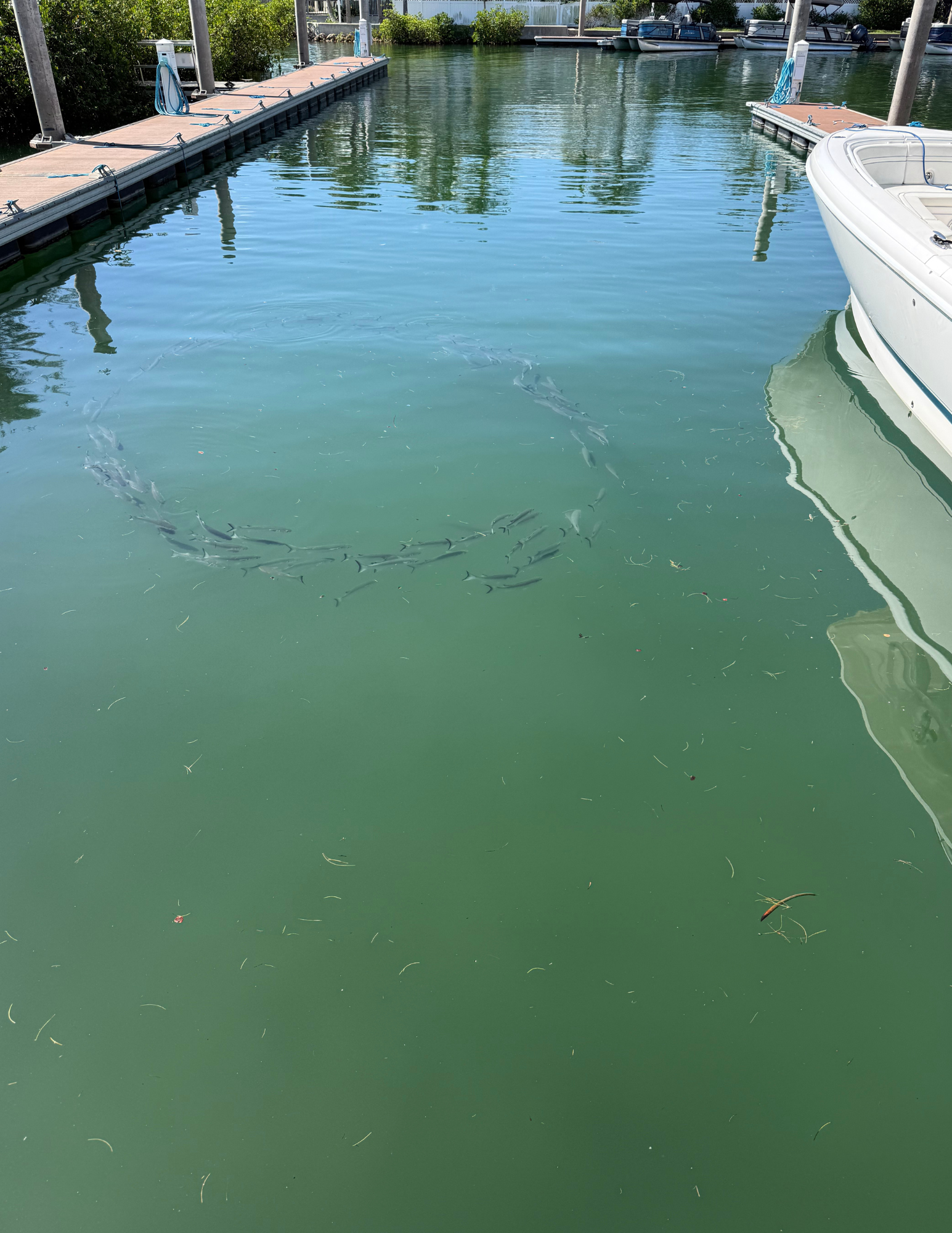 Why September Is One of the Best Months for Boating in Jupiter, Florida