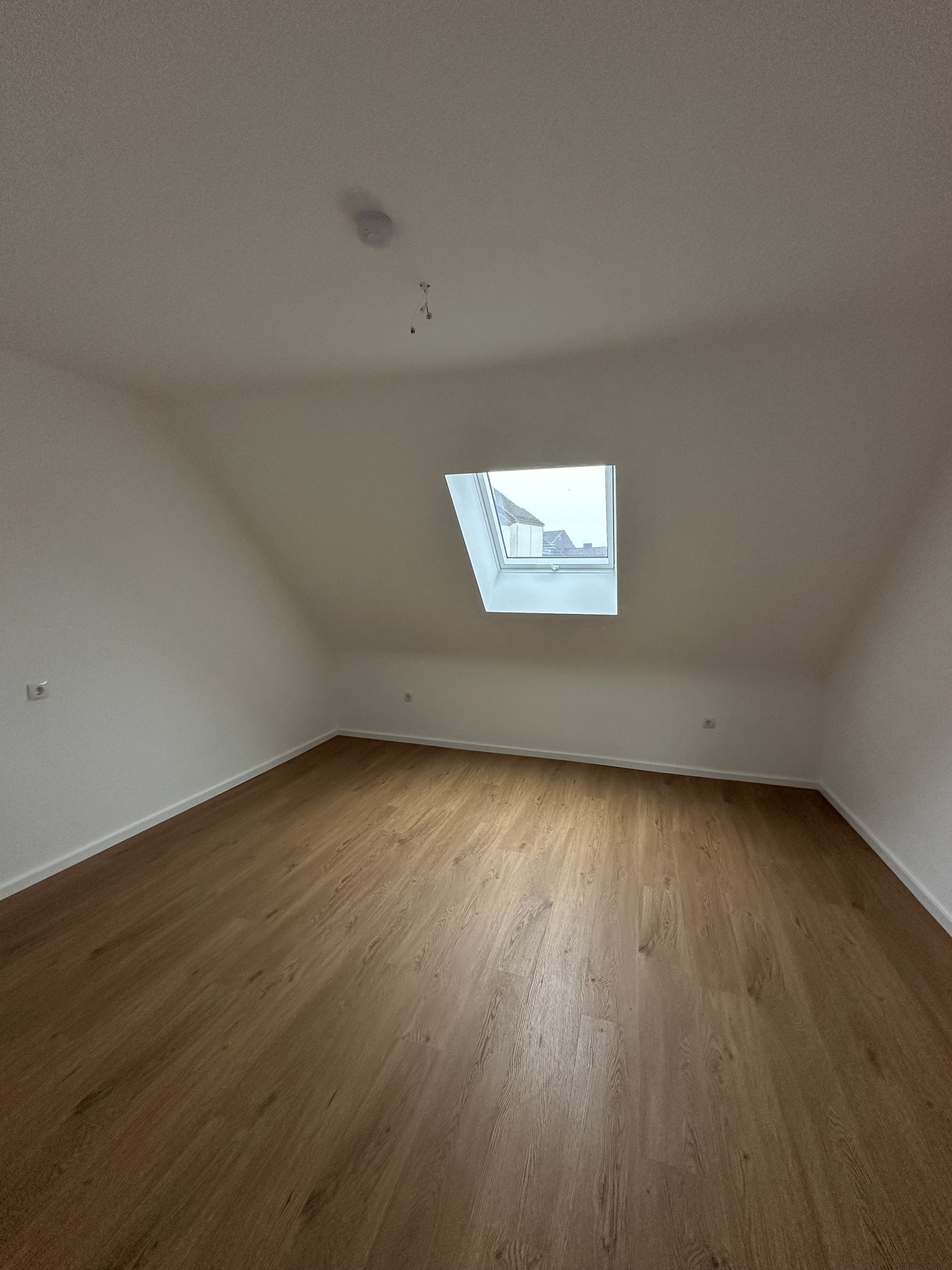 Vinylboden Verlegung Studentenwohnung Homburg