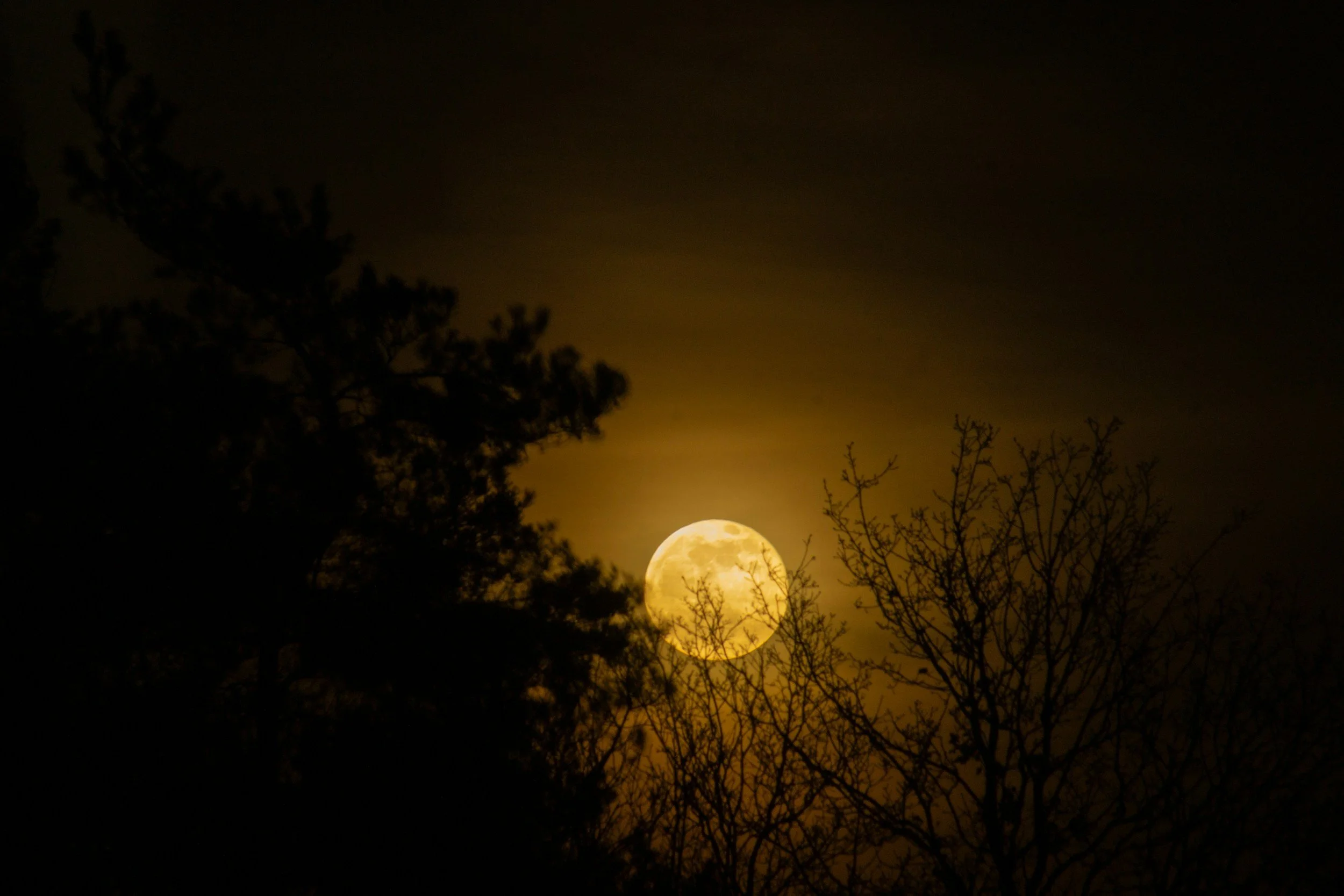 From Dusk to Dawn: How to Conquer Nighttime Trail Running in the PNW