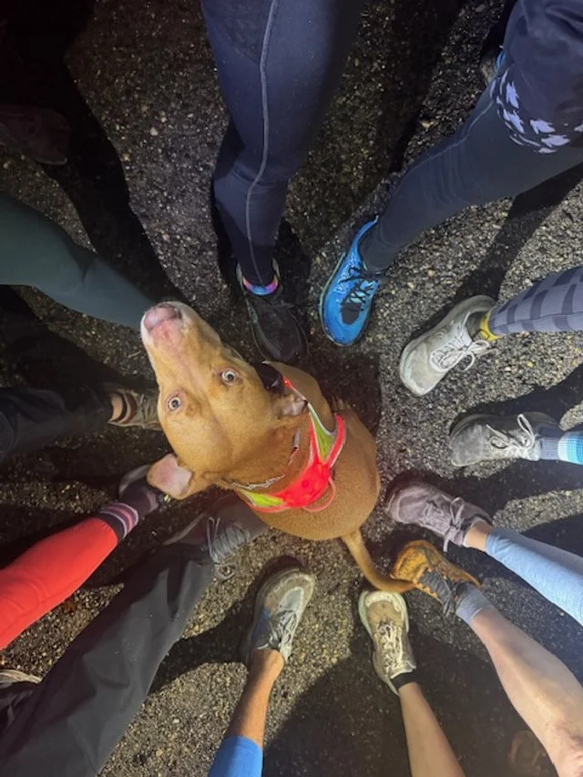 TNT Group Run 