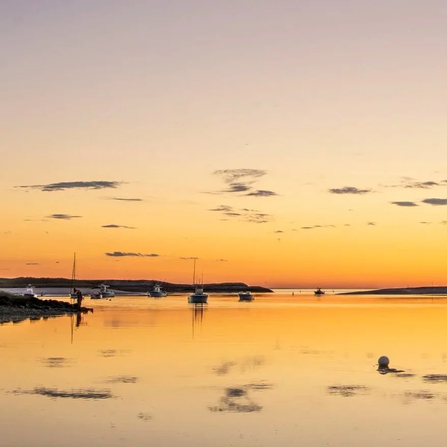 Cape Cod