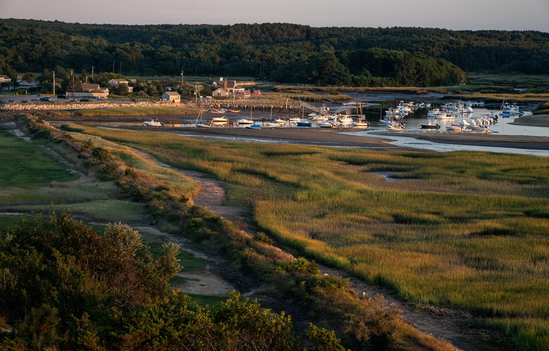DSC_1192.jpg