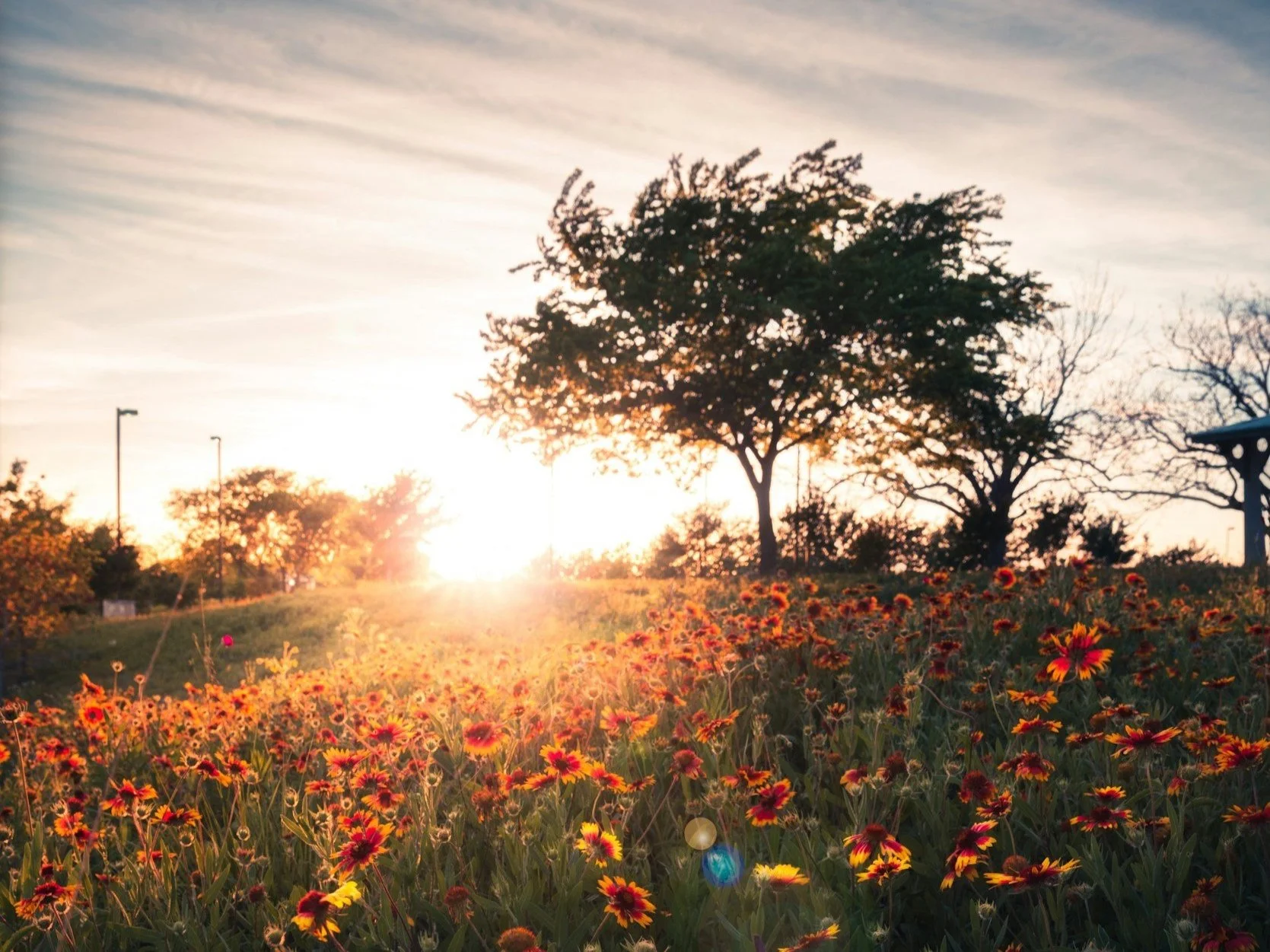 This Retreat Probably Won’t Change Your Life…