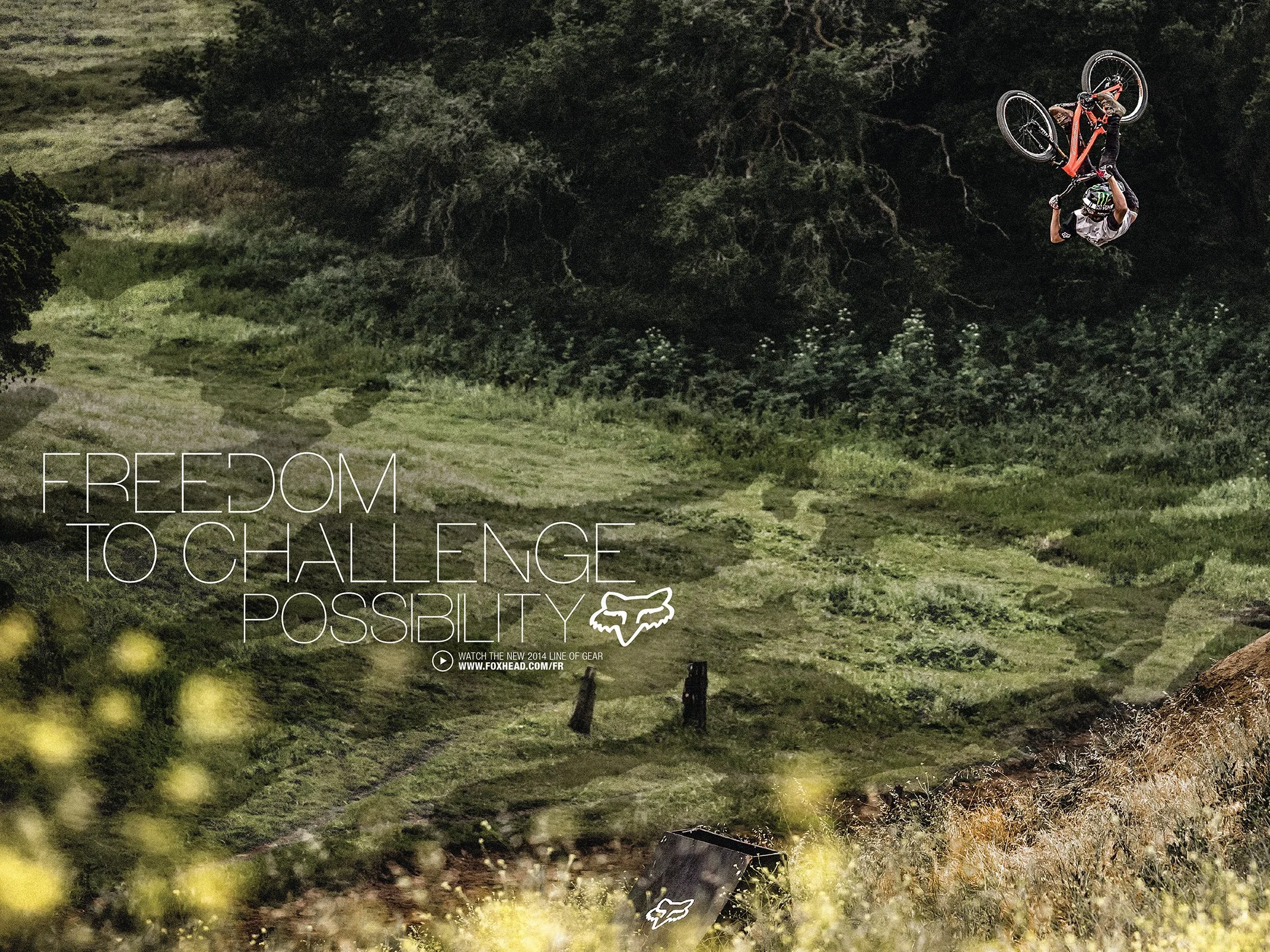 FOX_MTB_Thumb_4_3.jpg