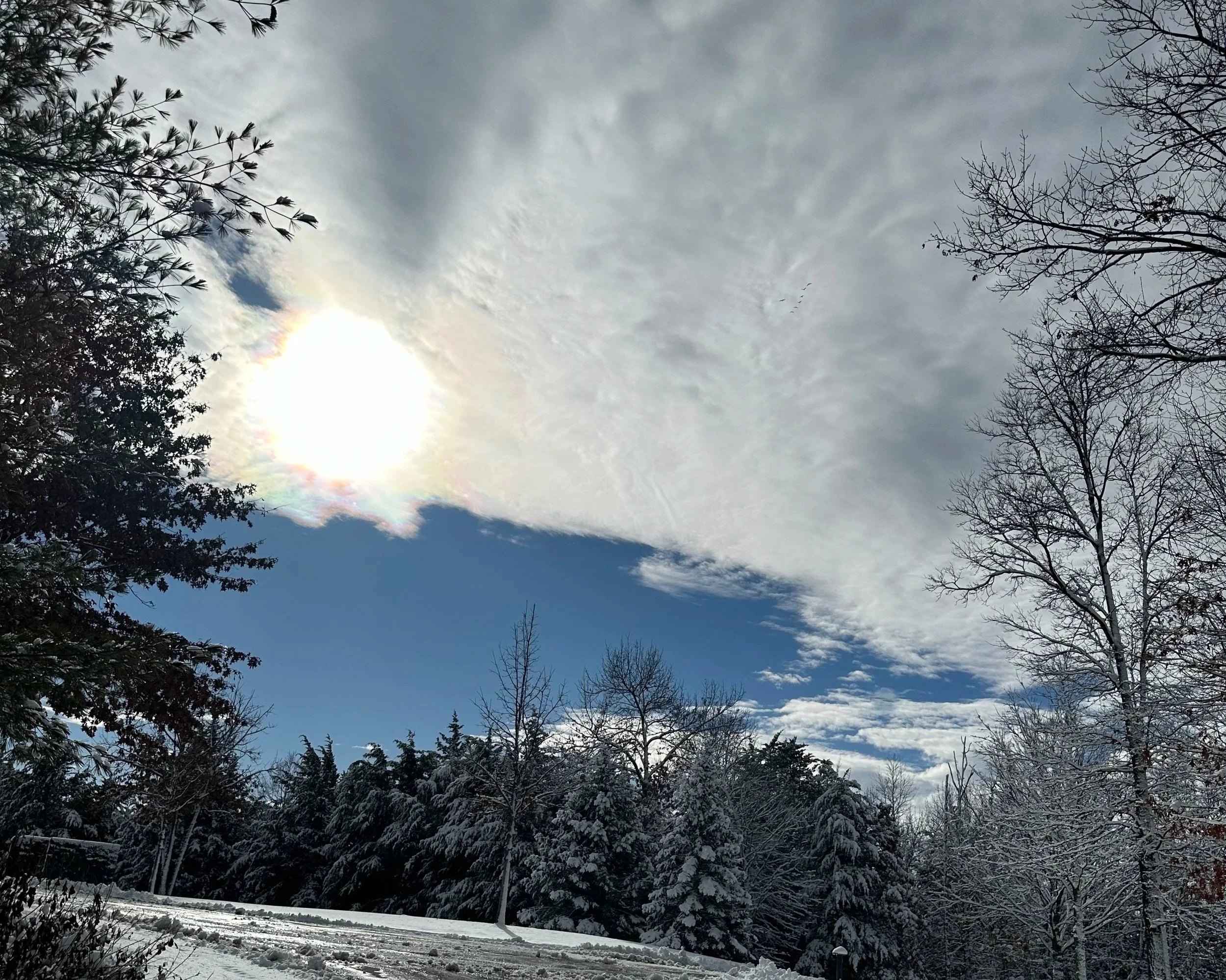 Why the holidays can feel so hard for neurodivergent kids (and what actually helps)