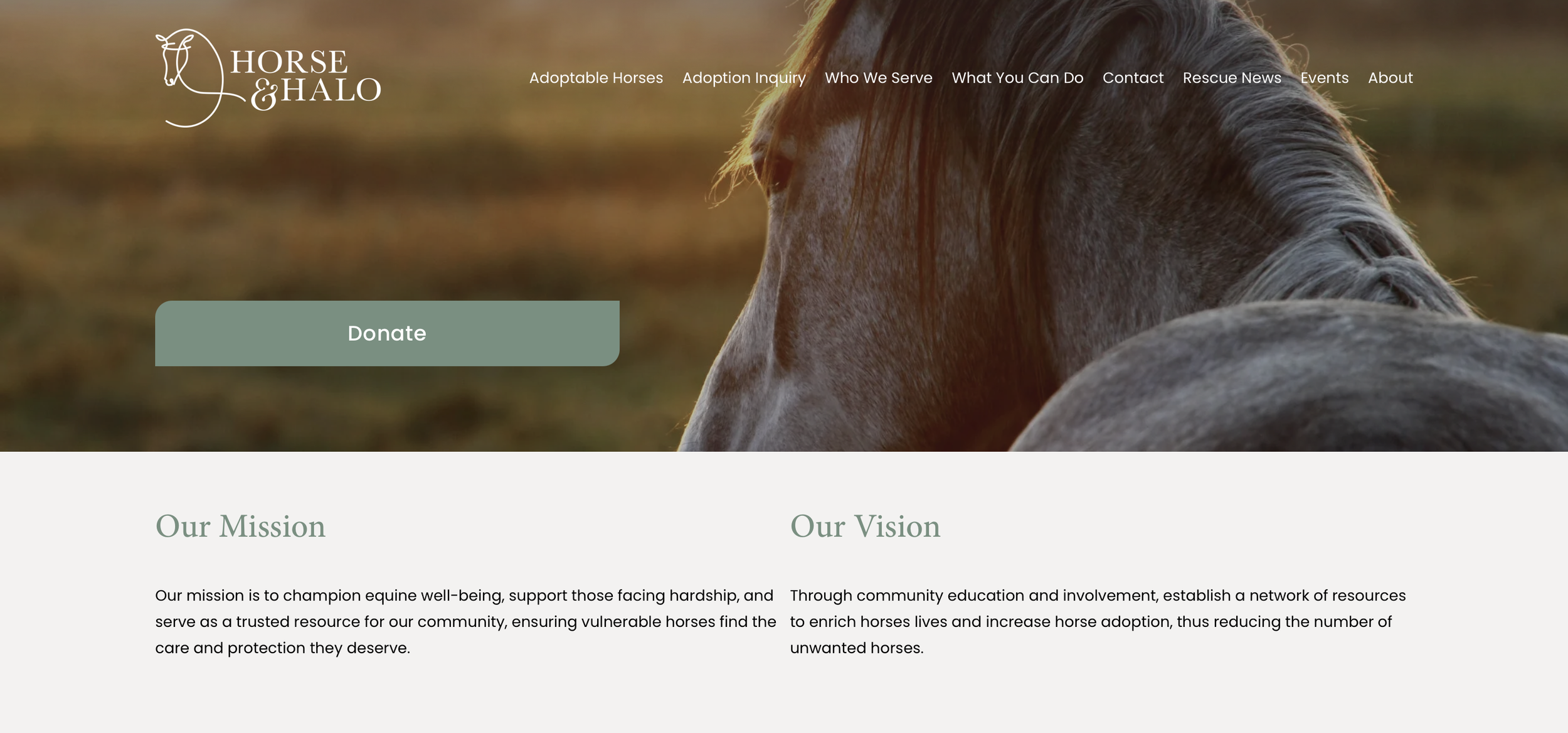Horse & Halo
 Nonprofit Horse Rescue
 Web Copy
 Copyedit, Content Creation