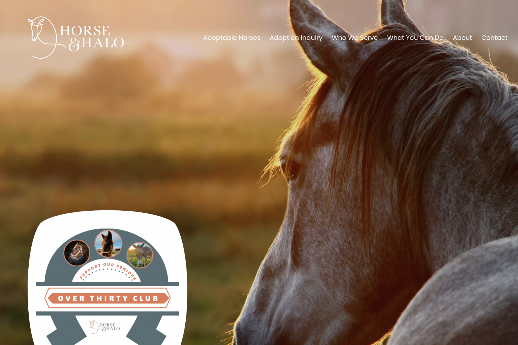 Horse & Halo
 Nonprofit Horse Rescue
 Web Copy
 Copyedit, content creation