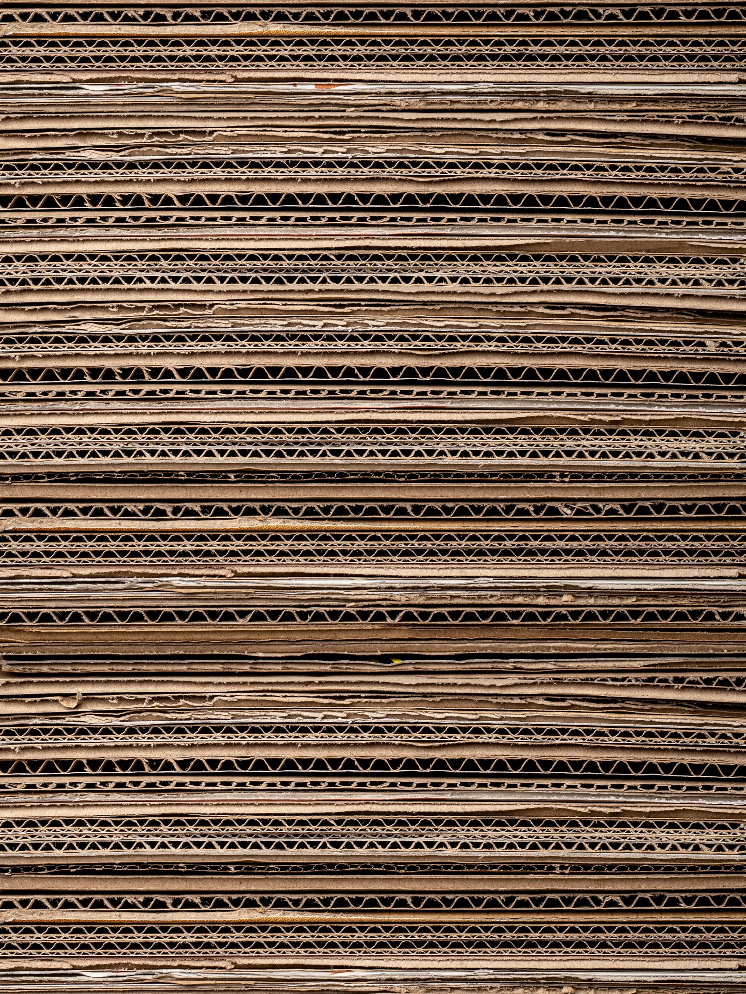 cardboard.jpg