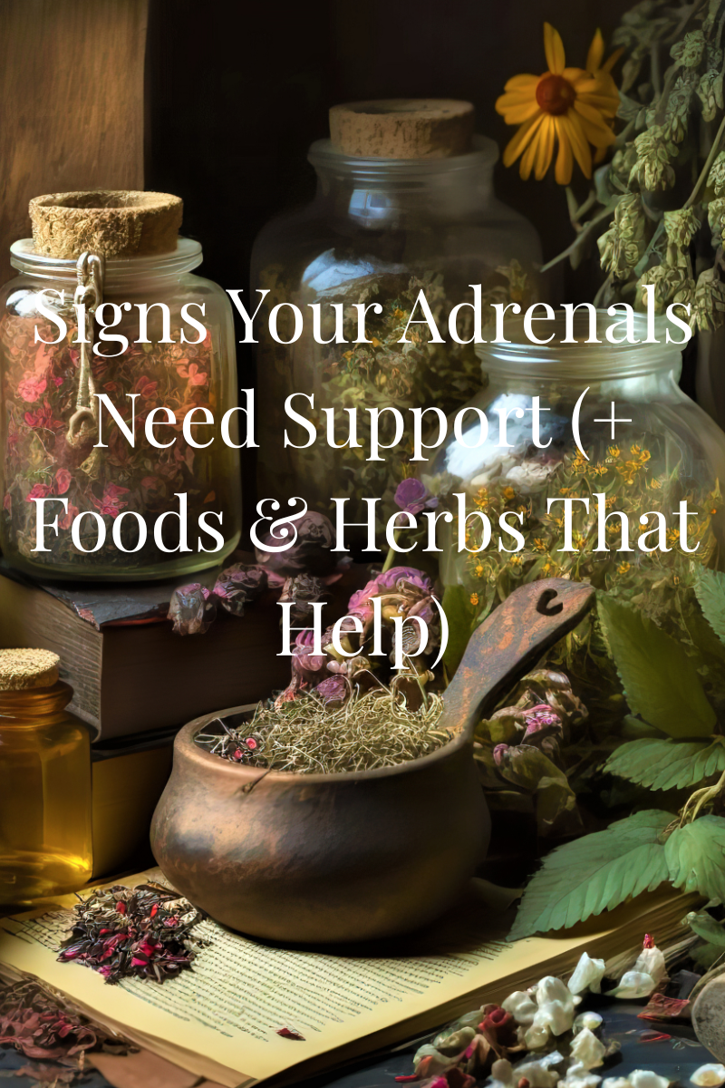 Signs Your Adrenals Need Support (+ Foods &amp; Herbs That Help)