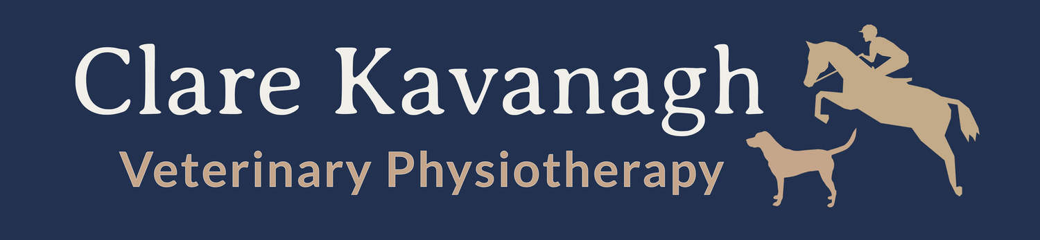Clare Kavanagh Veterinary Physiotherapy