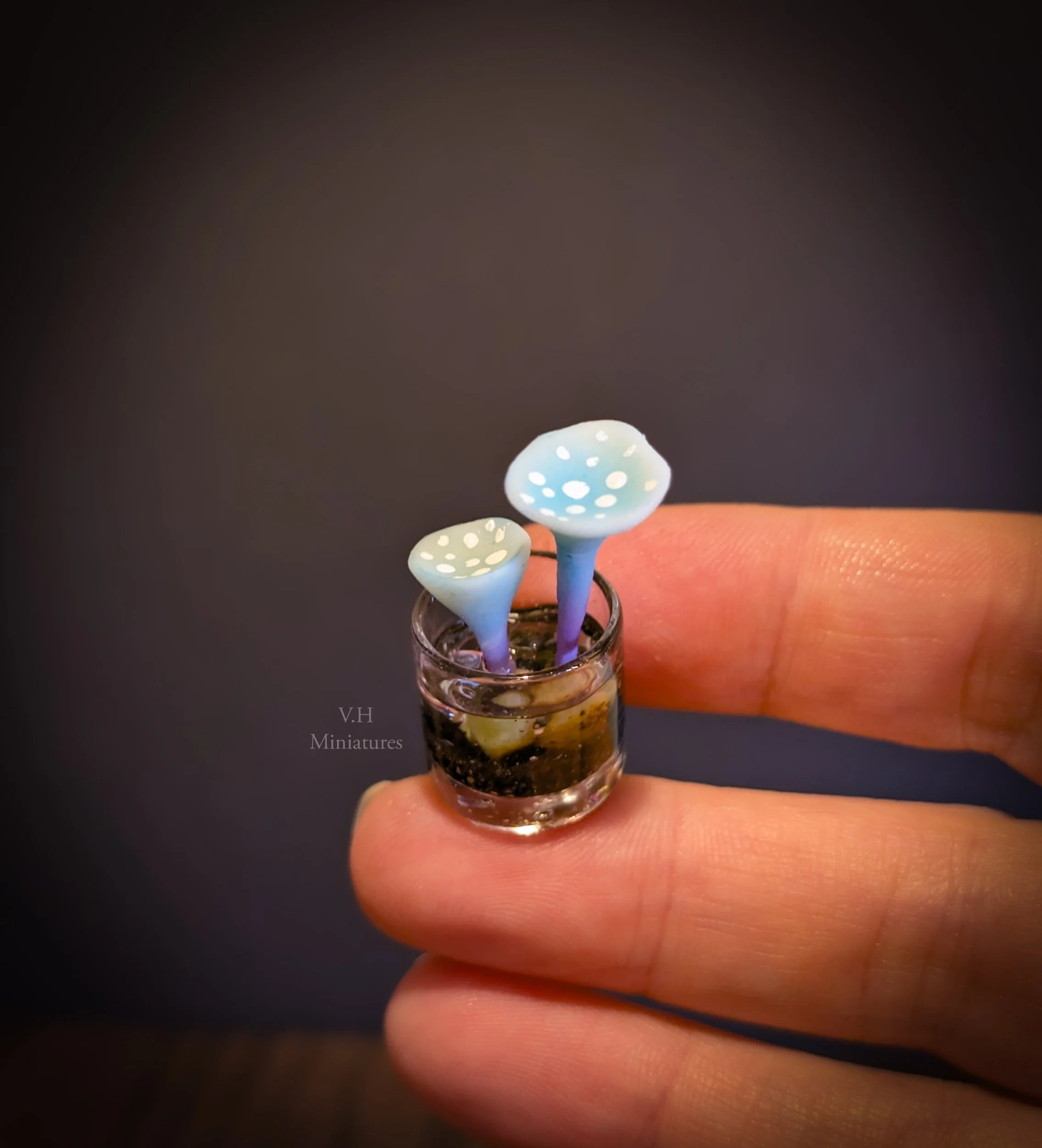 1/12TH Magical Sproutling - Blue Cups