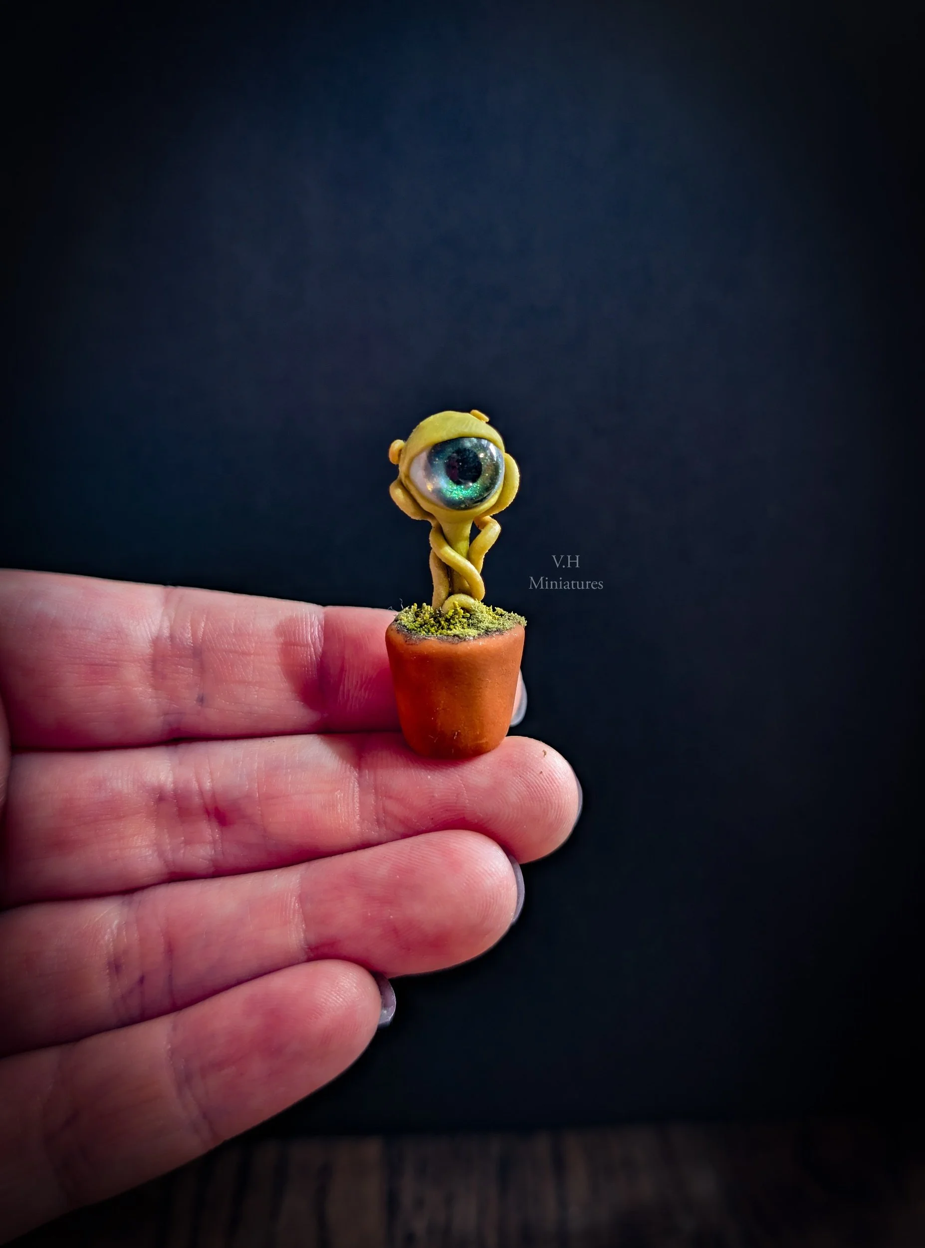 1/12TH Spy-Ball Plant