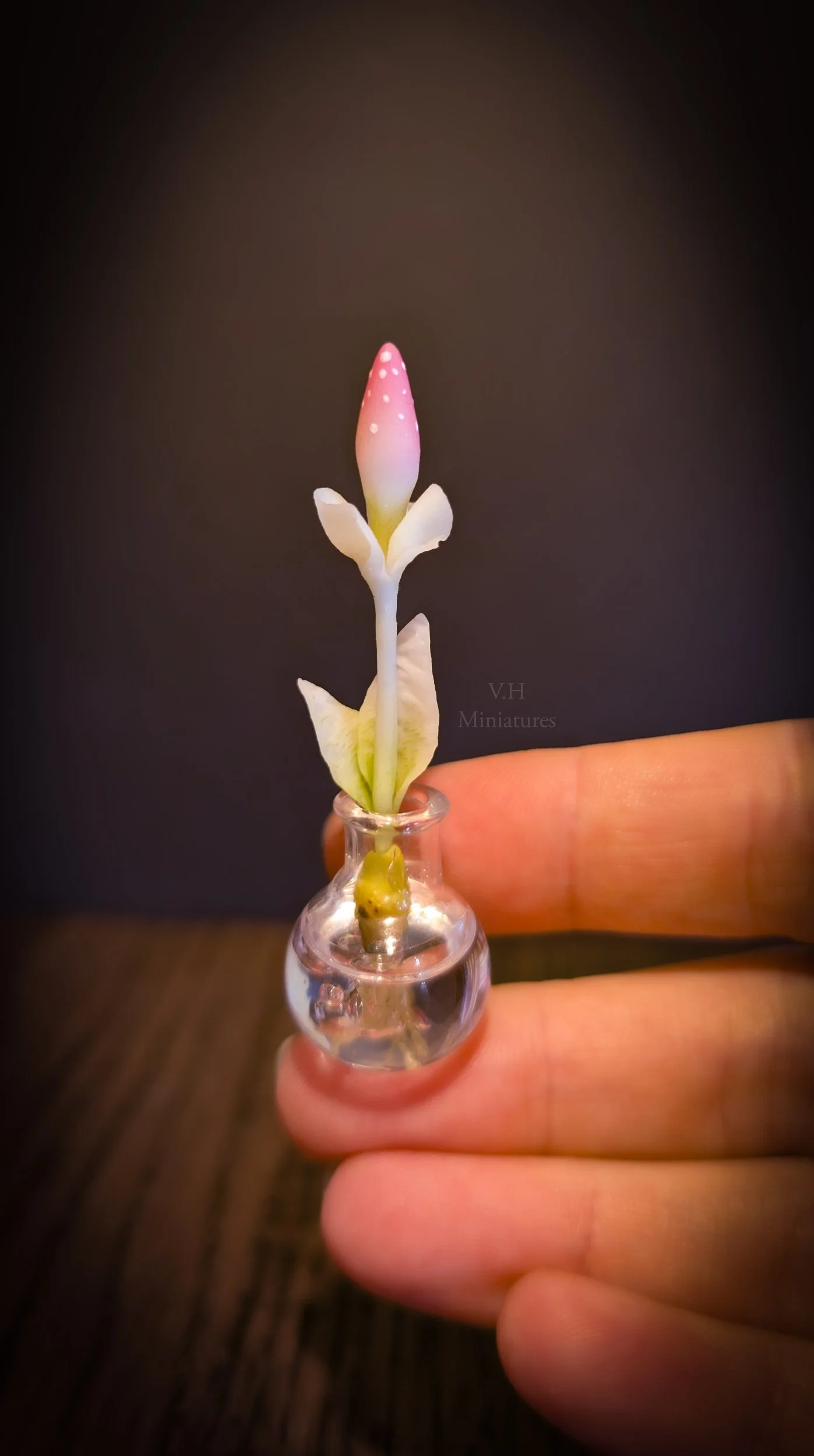 1/12TH Magical Sproutling - Pink