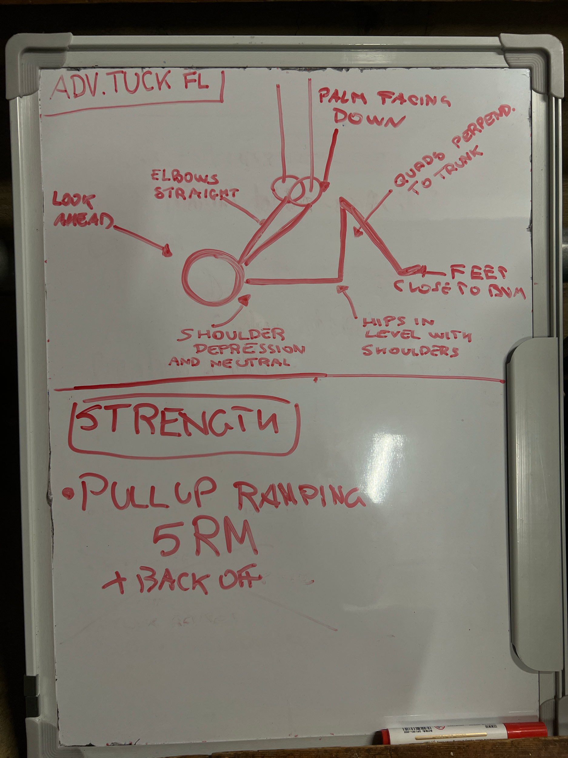 Front lever calisthenics brighton