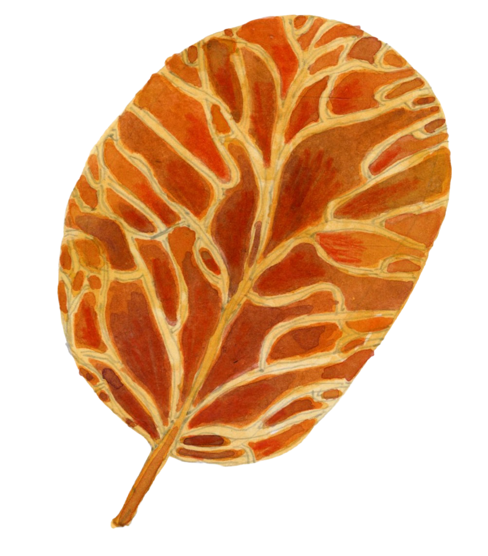 leaf_Sticker.png