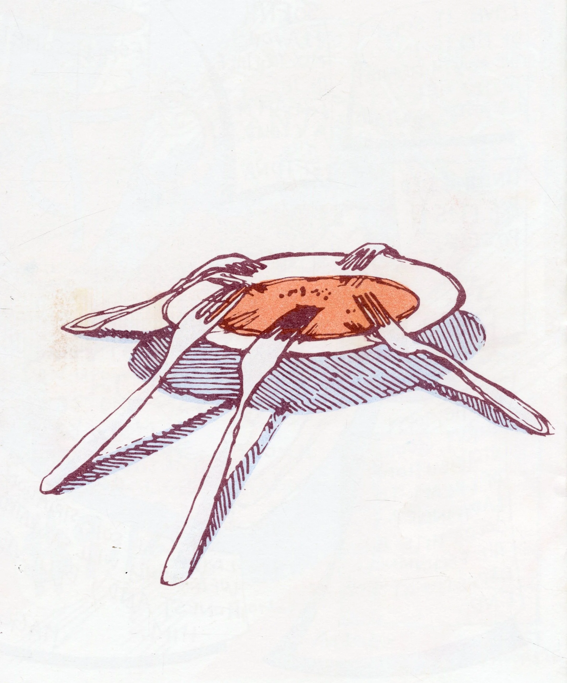 img20241120_0003 (1).jpeg