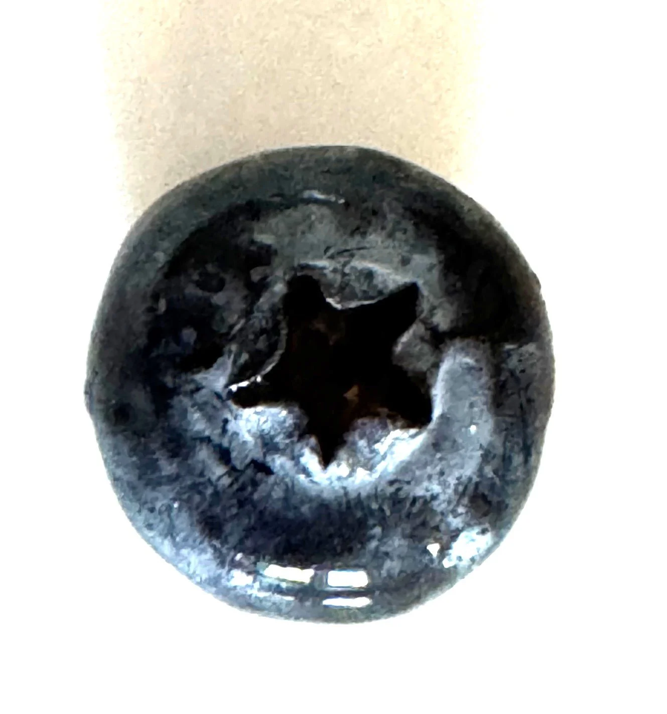 blueberry.jpg