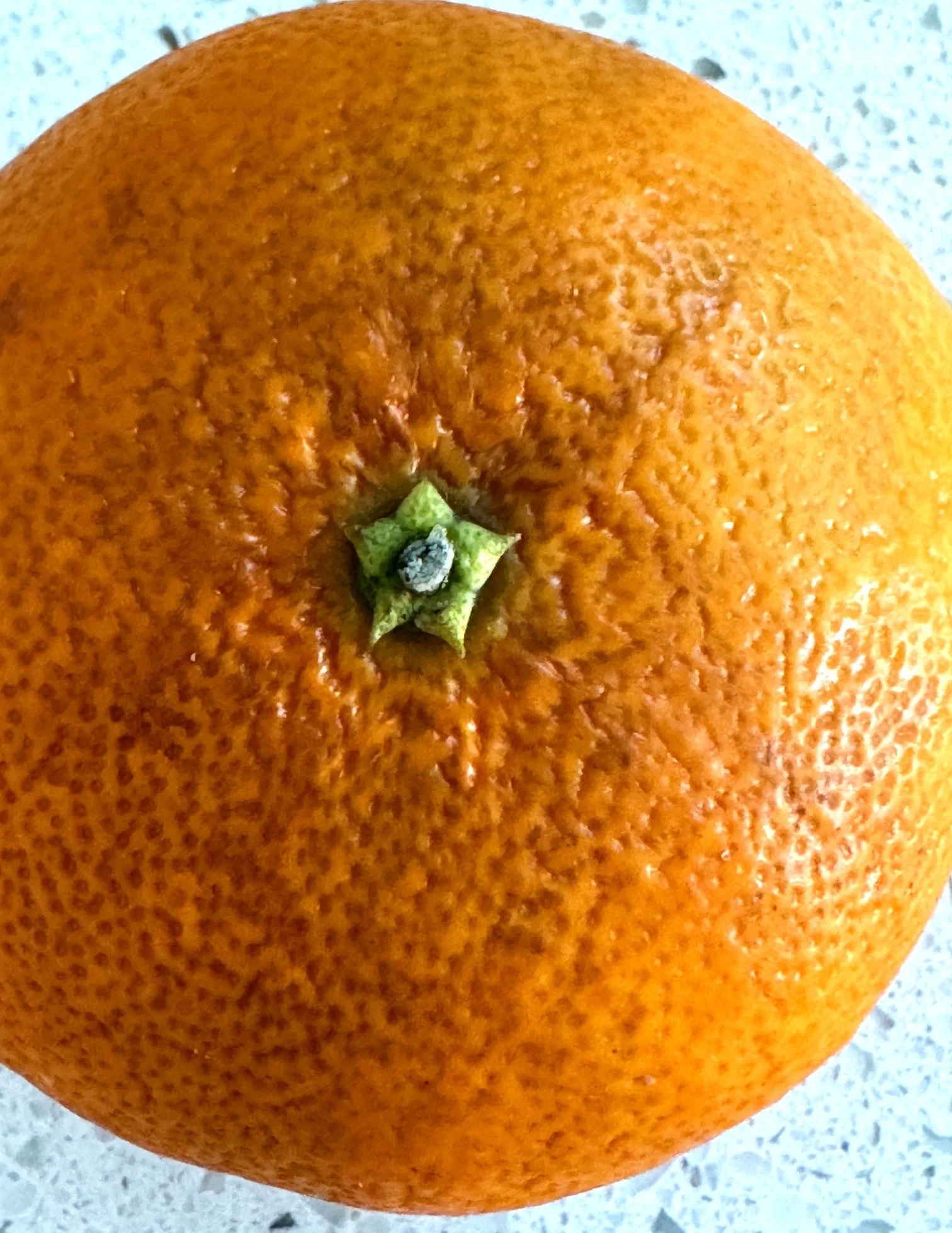 orange.jpg